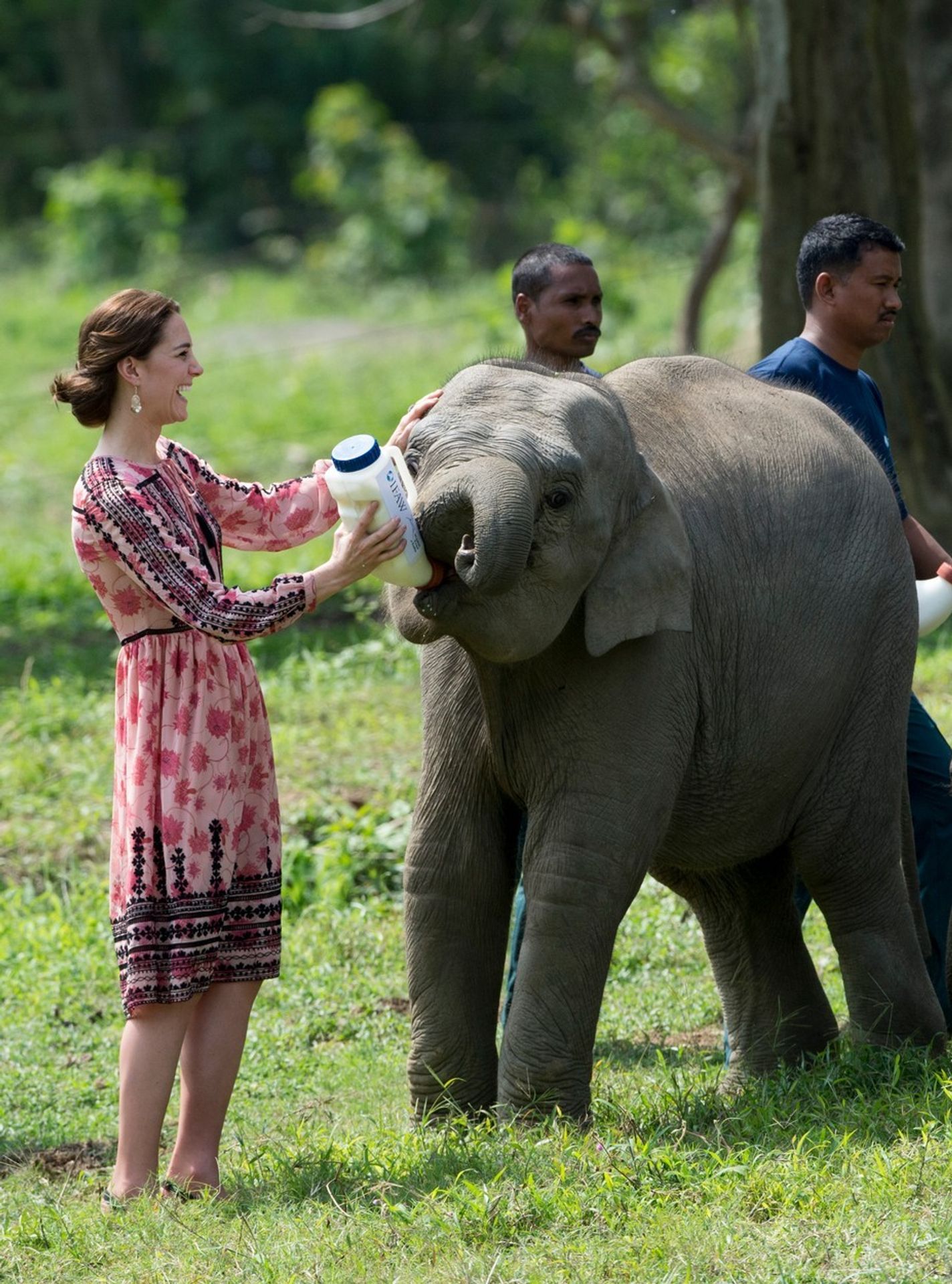 Kate a William v záchranné staniciIndii - 3 - GALERIE: Kate a William v záchranné stanici v Indii (3/6)
