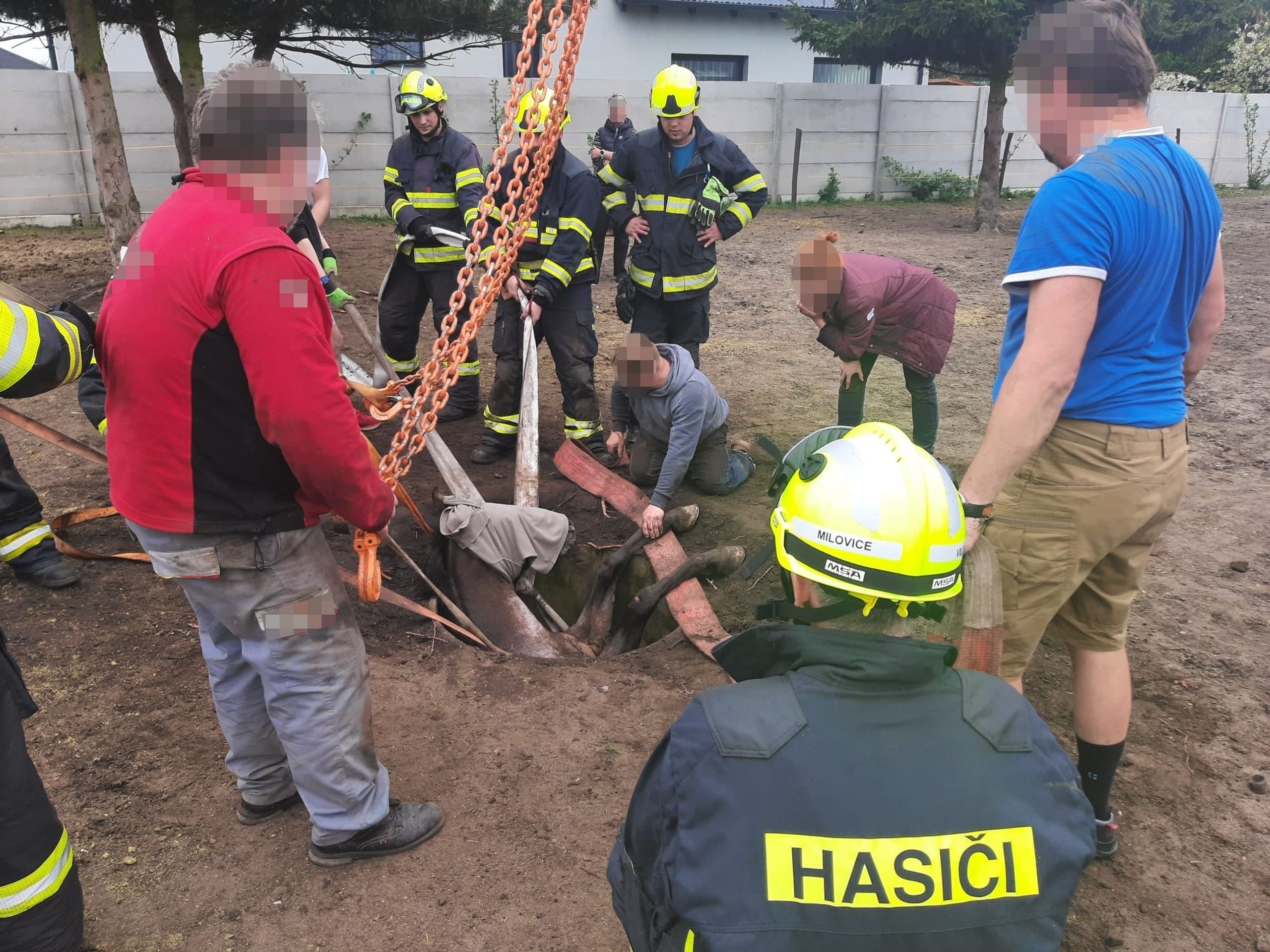 Záchrana koně - Záchrana koně v Lysé nad Labem (2/7)
