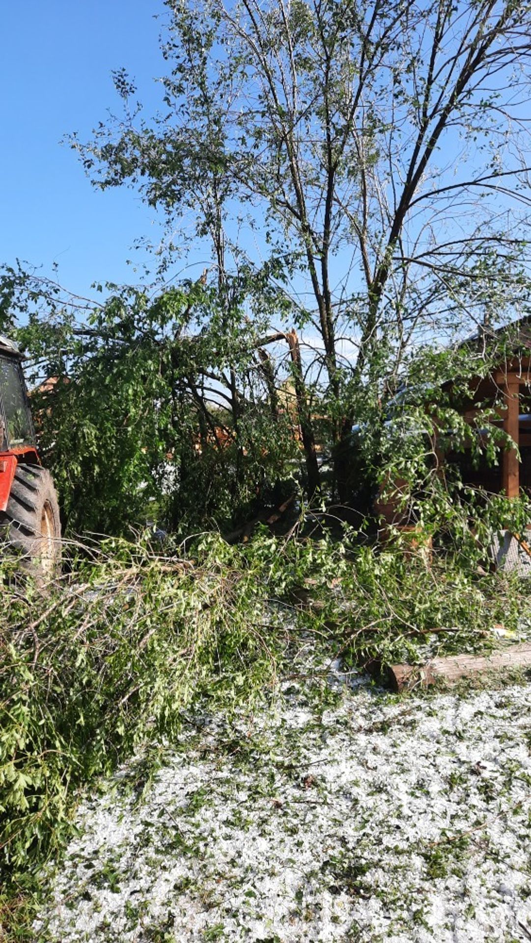 Stebno u Podbořan - 1 - GALERIE: Bouře na jihu Podbořanska (10/12)