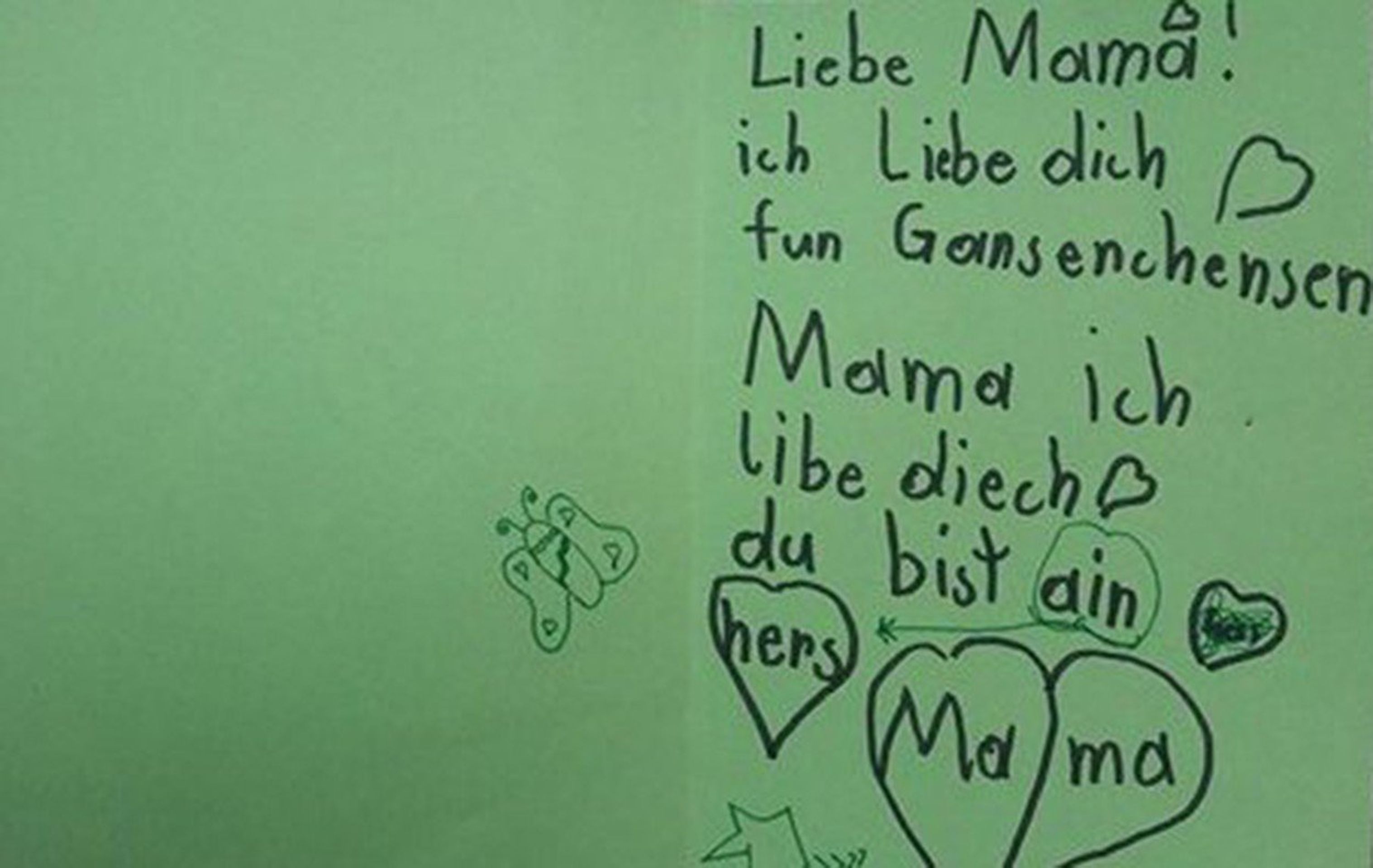 Vražda sedmileté dívky ve Vídni - 2 - GALERIE: Vražda dívky ve Vídni (2/5)