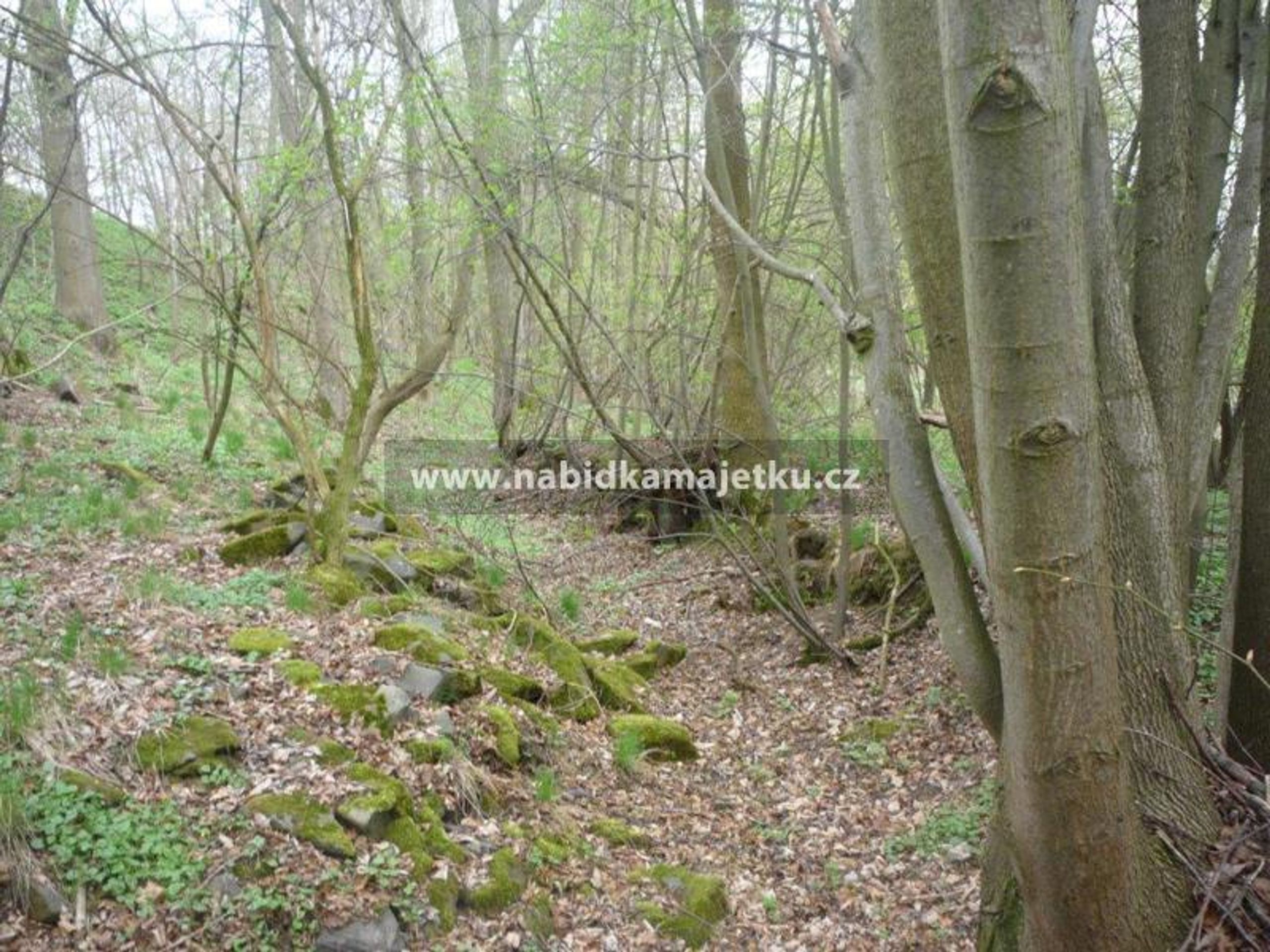 Prodej majetku Pozemek, Chrudim (1) - Nabídka majetku státu (50/115)