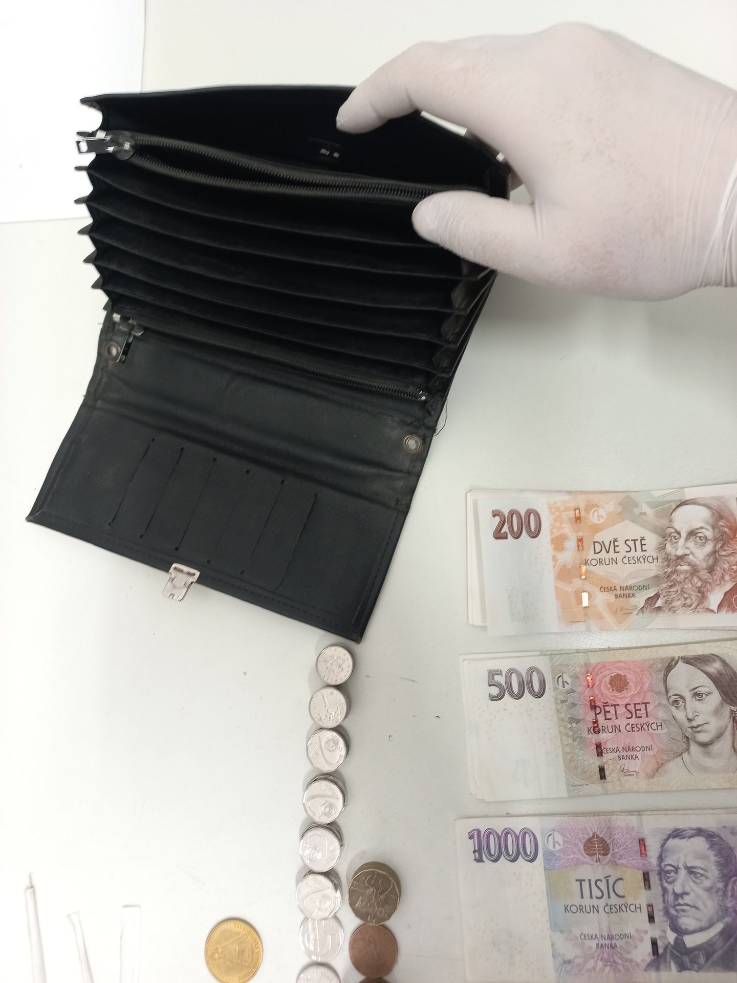 Nálezce odevzdal nalezenou peněženku (2) - Nálezce odevzdal peněženku (2/3)