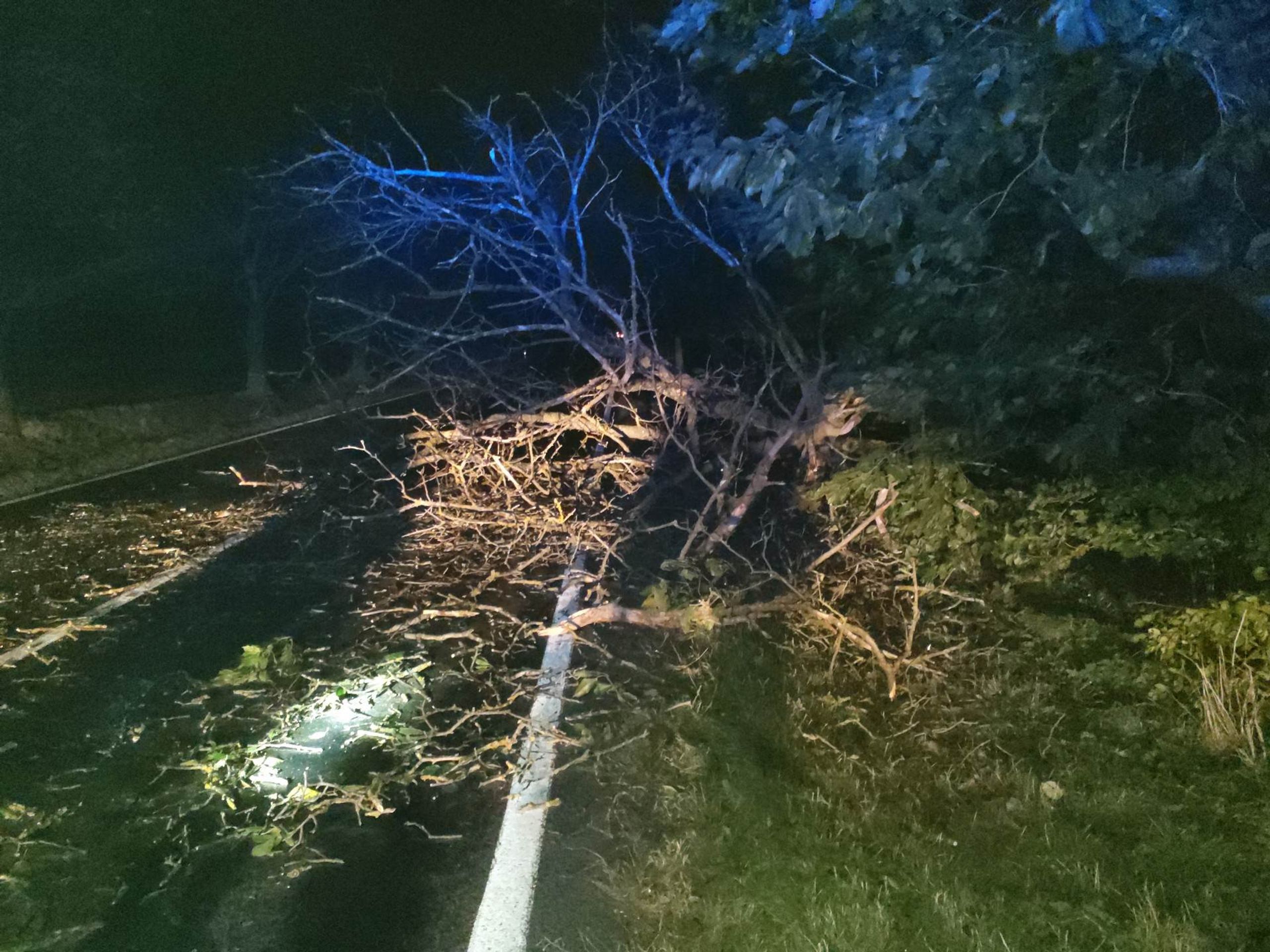 Následky silného větru - Následky silného větru (10/10)