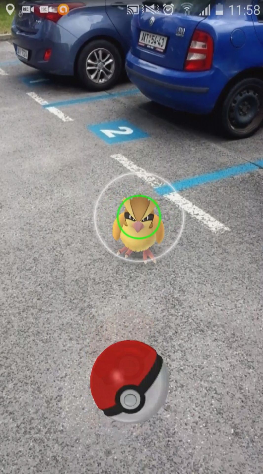 Pokémon Go - 7 - GALERIE: Hra Pokémon Go (8/8)