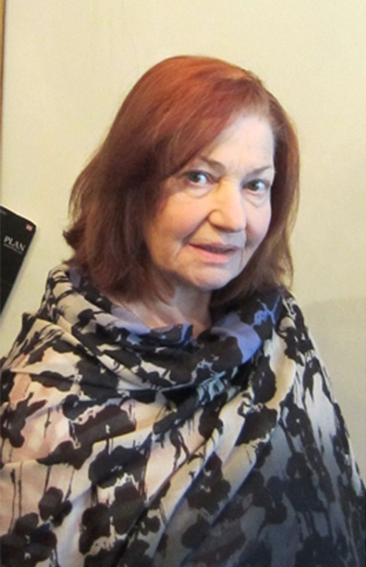 Bohumila Dolejšová - 2014 - GALERIE: Bohumila Dolejšová (2/5)