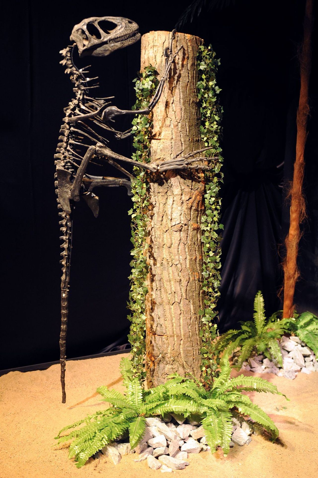 Výstava Dinosaurium - 15 - GALERIE: Výstava Dinosaurium (9/23)