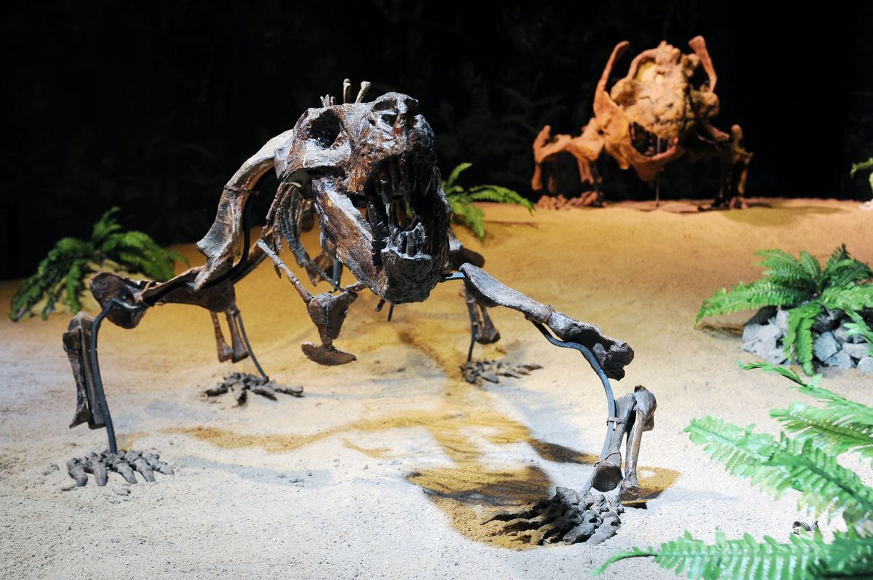 Výstava Dinosaurium - 9 - GALERIE: Výstava Dinosaurium (15/23)