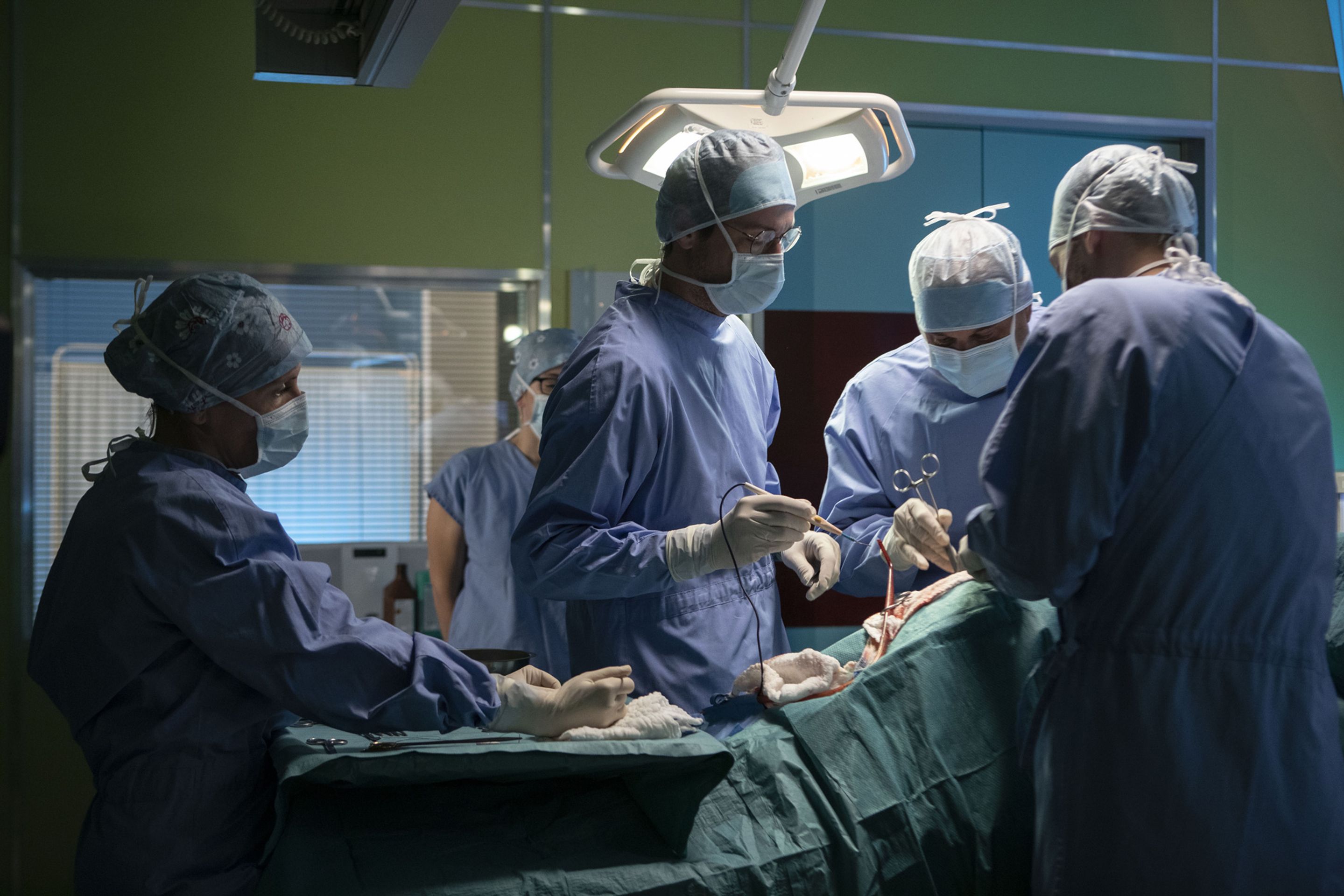 Ordinace v růžové zahradě 2 jaro - Nová sezóna Ordinace v růžové zahradě 2 (9/11)