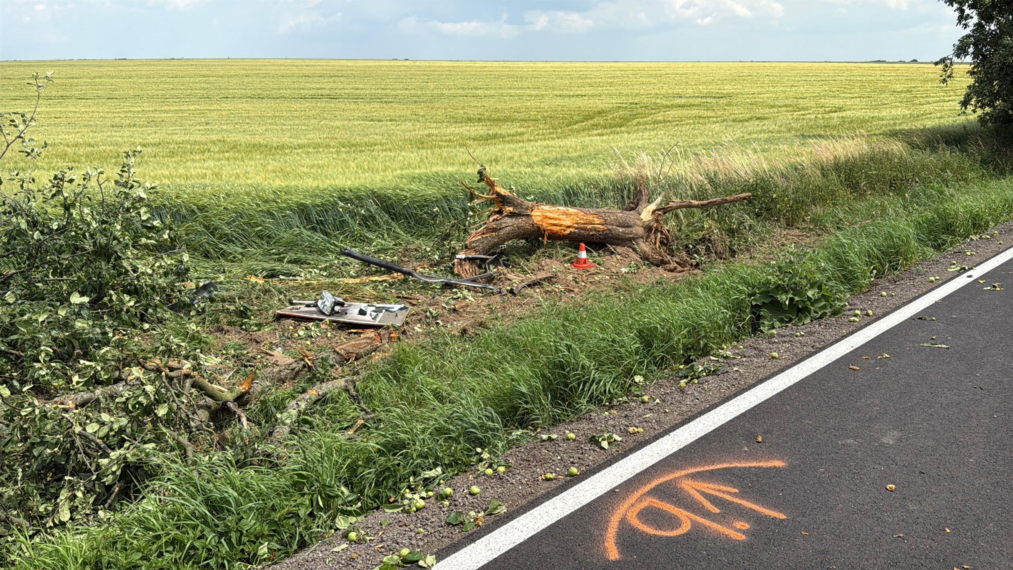 Dopravní nehoda autobusu (4) - Dopravní nehoda autobusu (5/10)