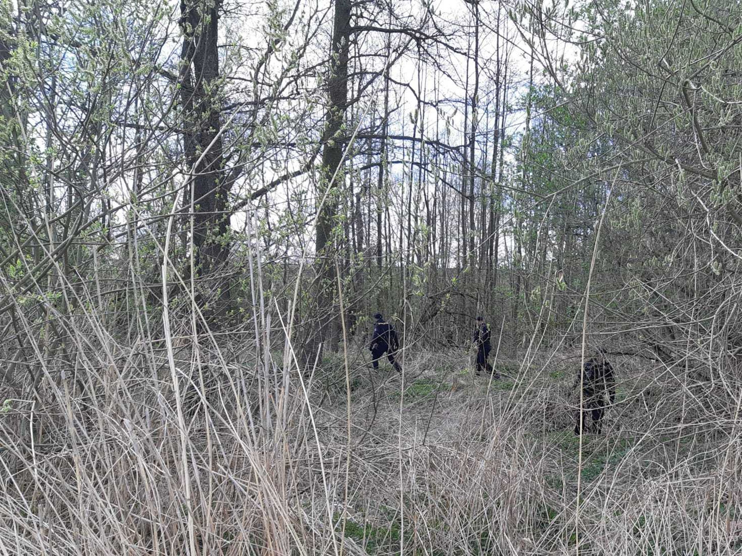Pátrání po nebezpečném muži na Orlickoústecku - 4 - GALERIE: Úspěšné pátrání po nebezpečném muži na Orlickoústecku (4/6)