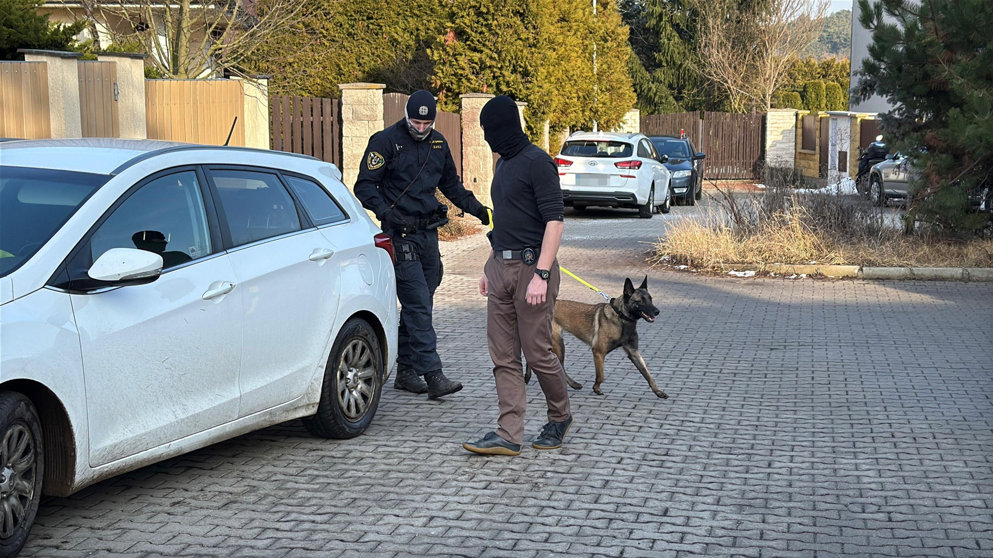 Domovní prohlídka u Miloslava Ludvíka - Zásah NCOZ v kauze FN Motol (14/20)