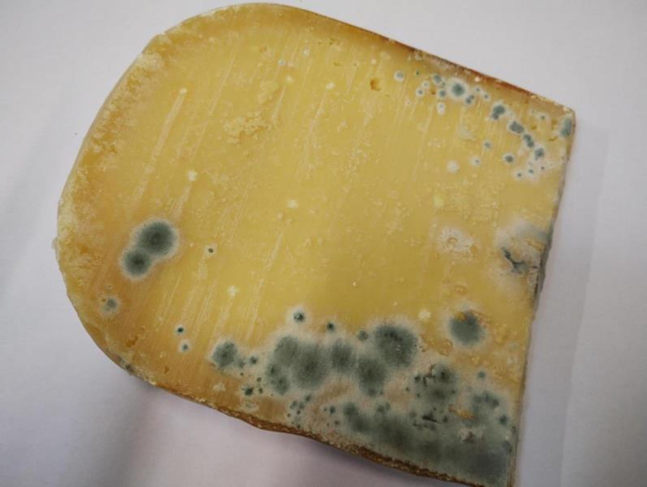 Old Jersey Gouda - Závadné potraviny (8/11)