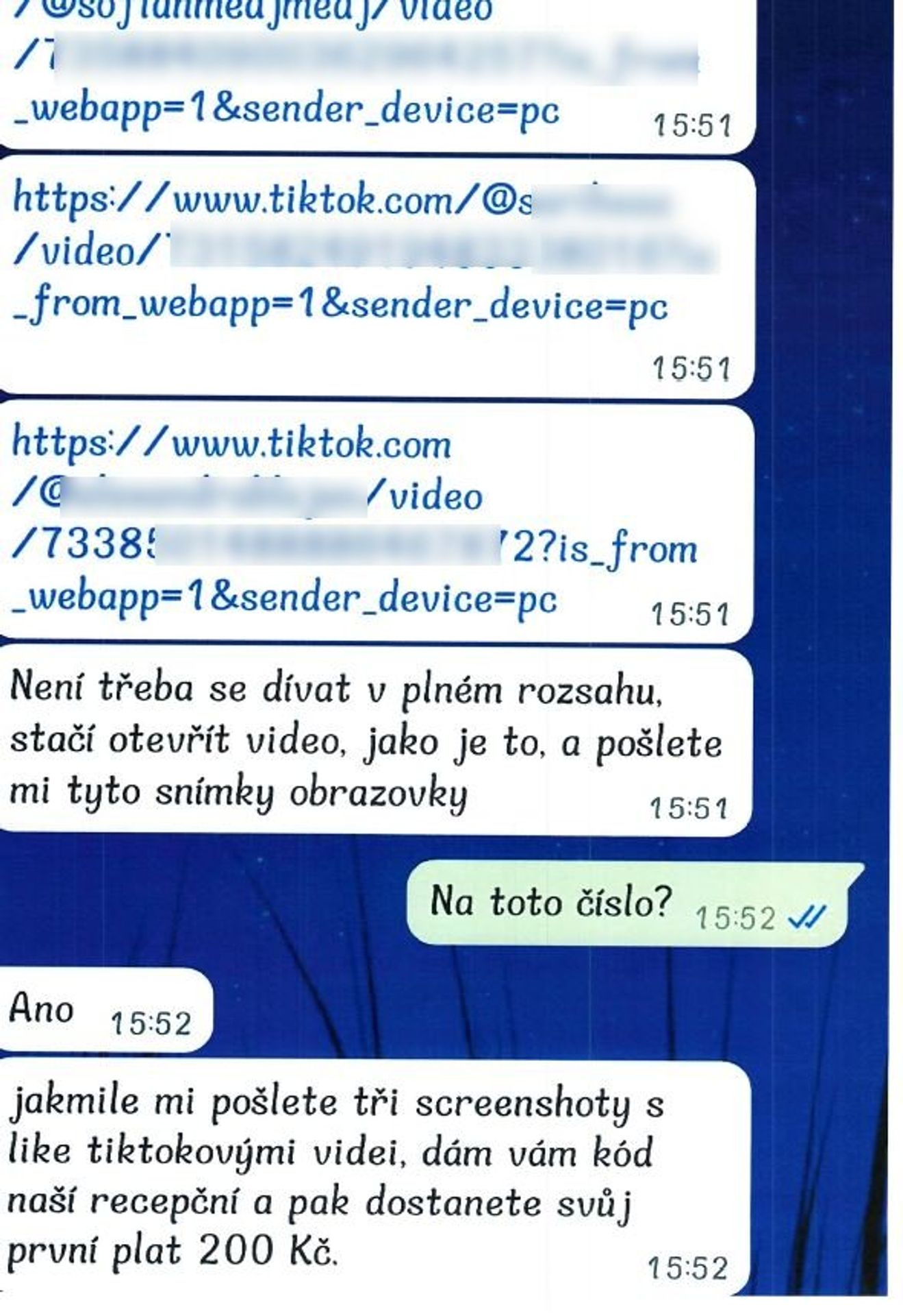 Internetový podvod (1) - Nový internetový podvod (12/14)