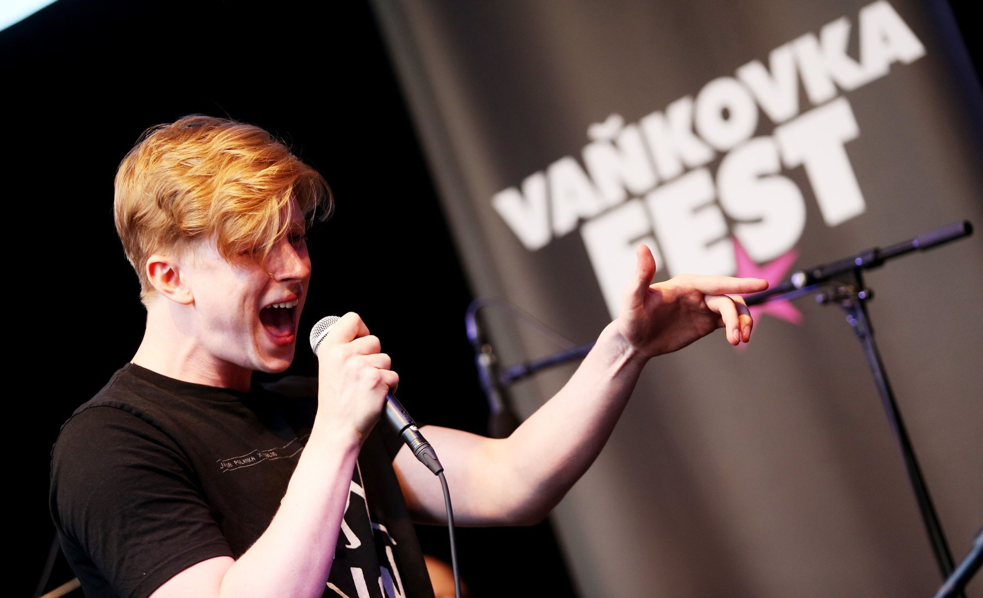Adam Mišík, 15. 6. 2017 Vaňkovka fest - Adam Mišík (13/14)