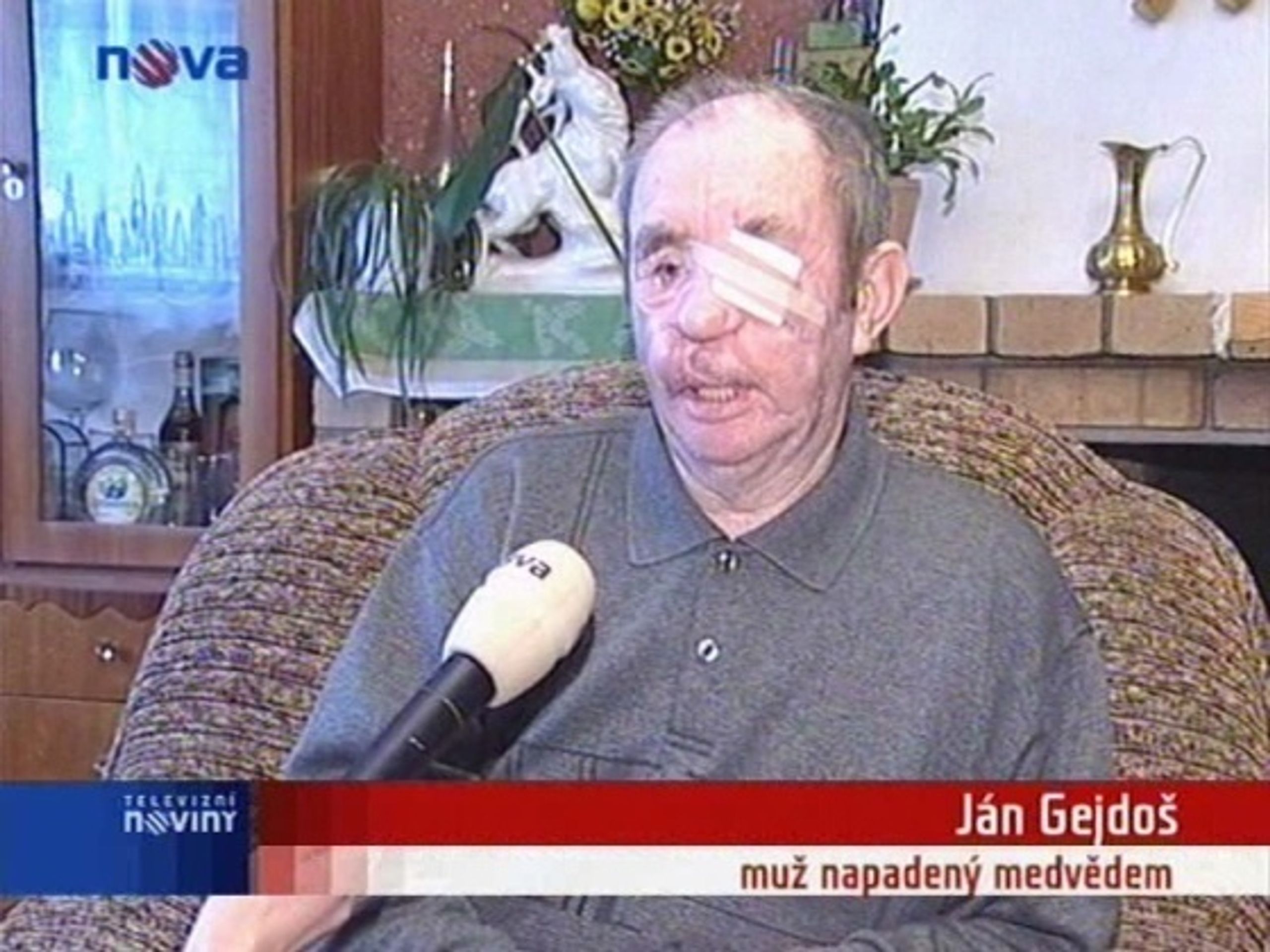 Muž zraněný medvědem - Medvěd-zabiják řádí na Slovensku (1/1)