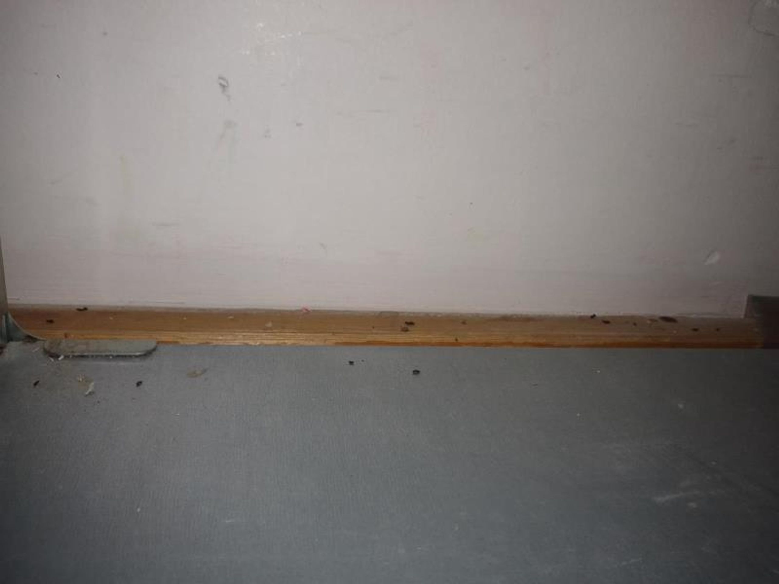 Billa, Pardubice (14) - Uzavřená provozovna Billa v Pardubicích (14/17)