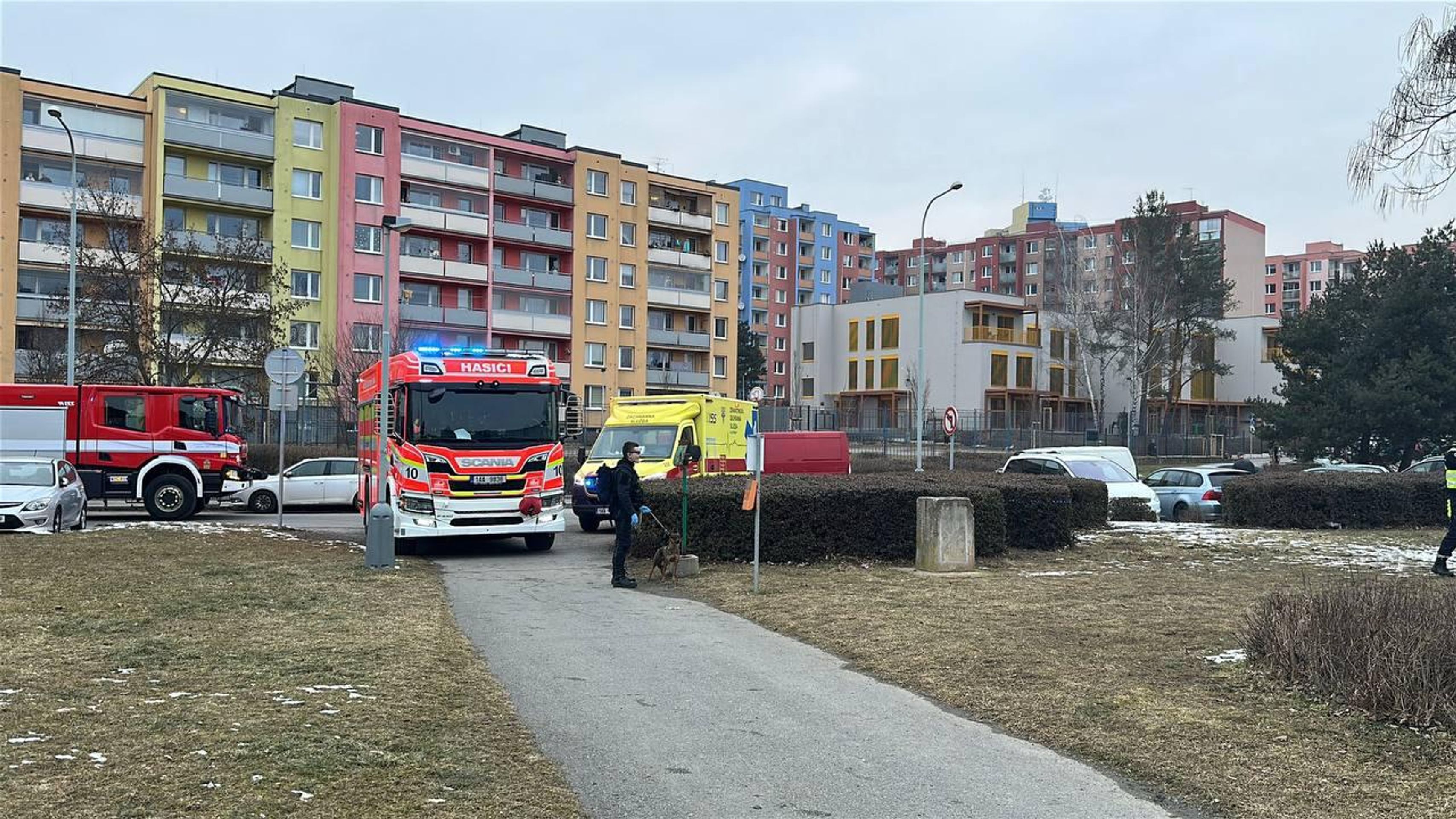 Děti se propadly pod led v Praze (7) - Děti se propadly pod led v Praze (19/19)