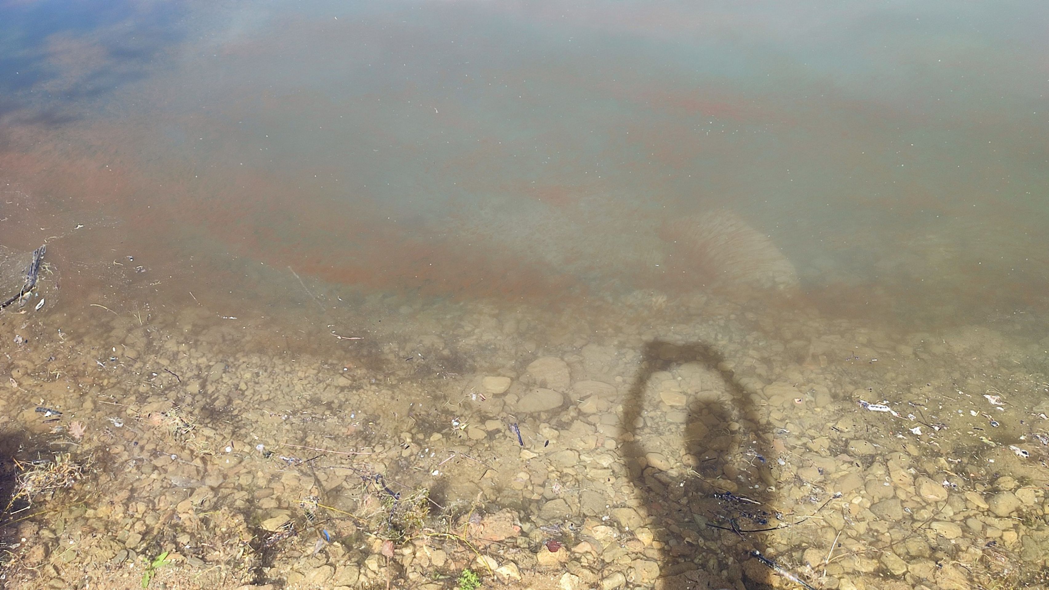 Znečištěné Jablanické jezero (4) - Znečištěné Jablanické jezero (8/12)
