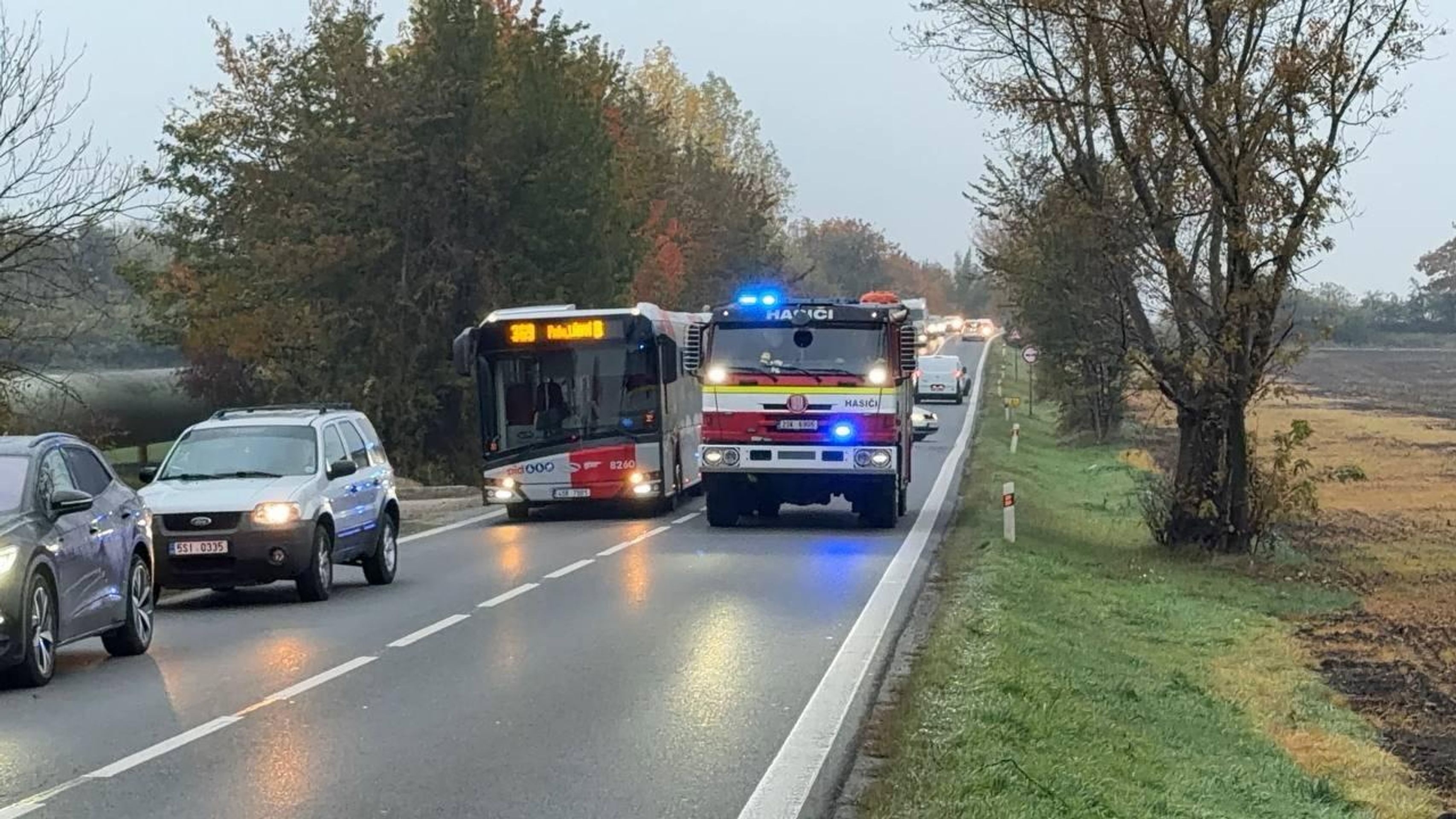 Tragická srážka koně u Zlonína - Tragická srážka koně u Zlonína (1/4)