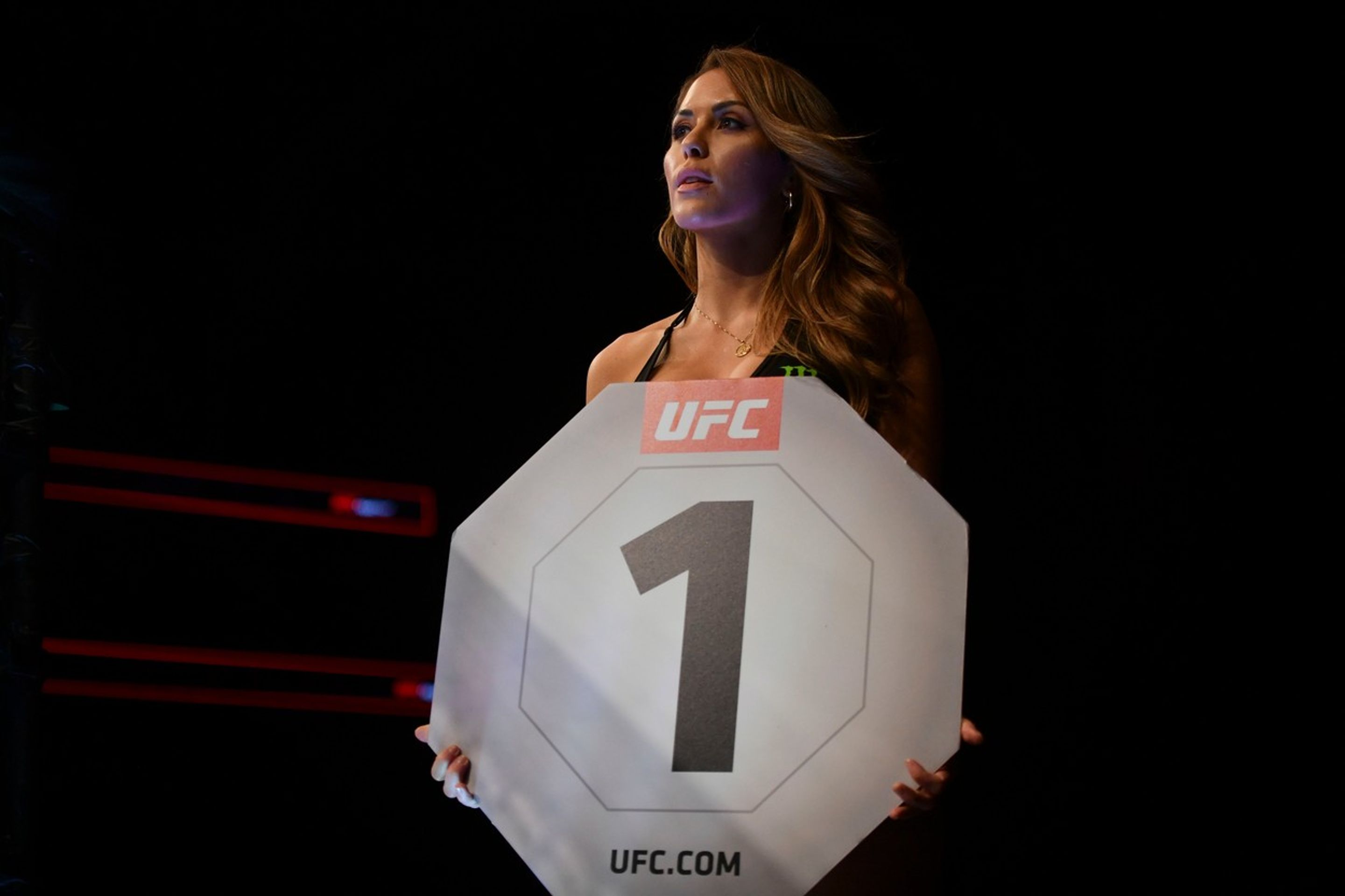 UFC ring girl Brittney Palmer - GALERIE: UFC ring girl Brittney Palmerová (10/10)