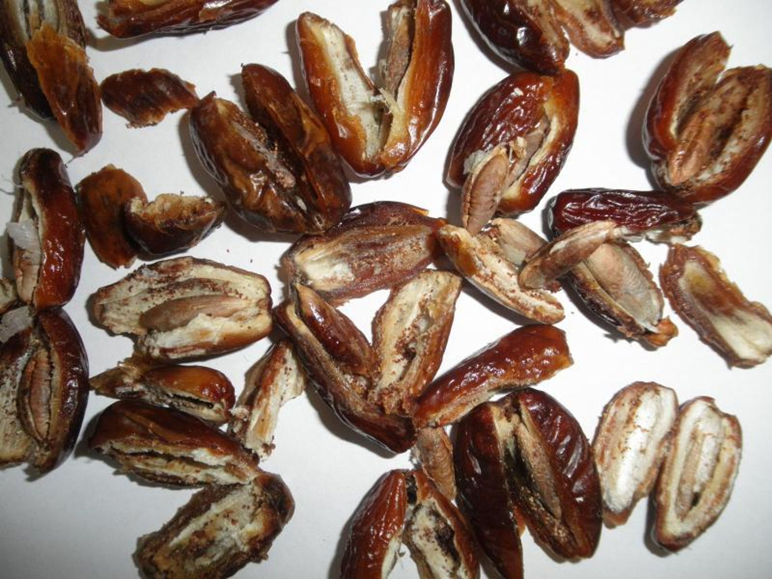 Tesco: Tunisian Dates - datle proslazené s peckou - 4 - GALERIE: Tesco: Tunisian Dates - datle proslazené s peckou (4/4)
