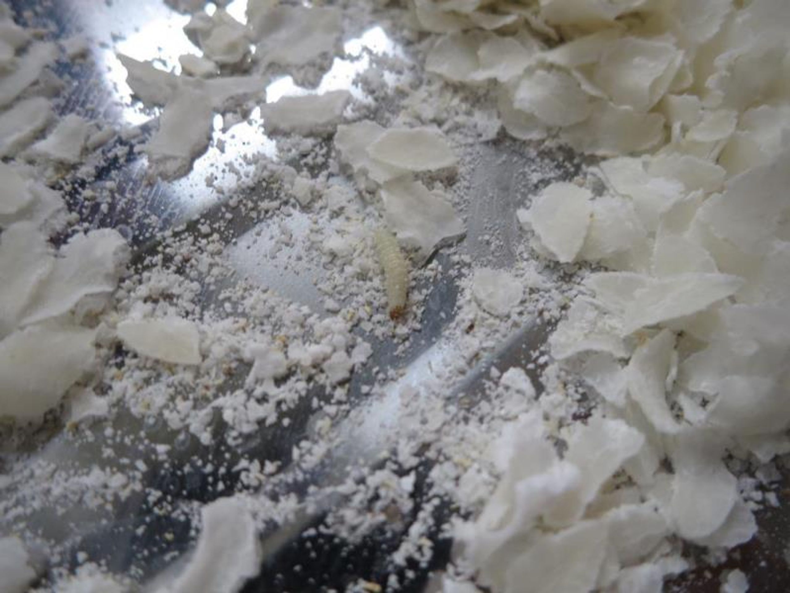 SENFOOD RÝŽOVÉ vločky, á 250 g - Chien Ho Van Hradec Králové - GALERIE: Nebezpečné potraviny v říjnu a listopadu 1 (19/40)