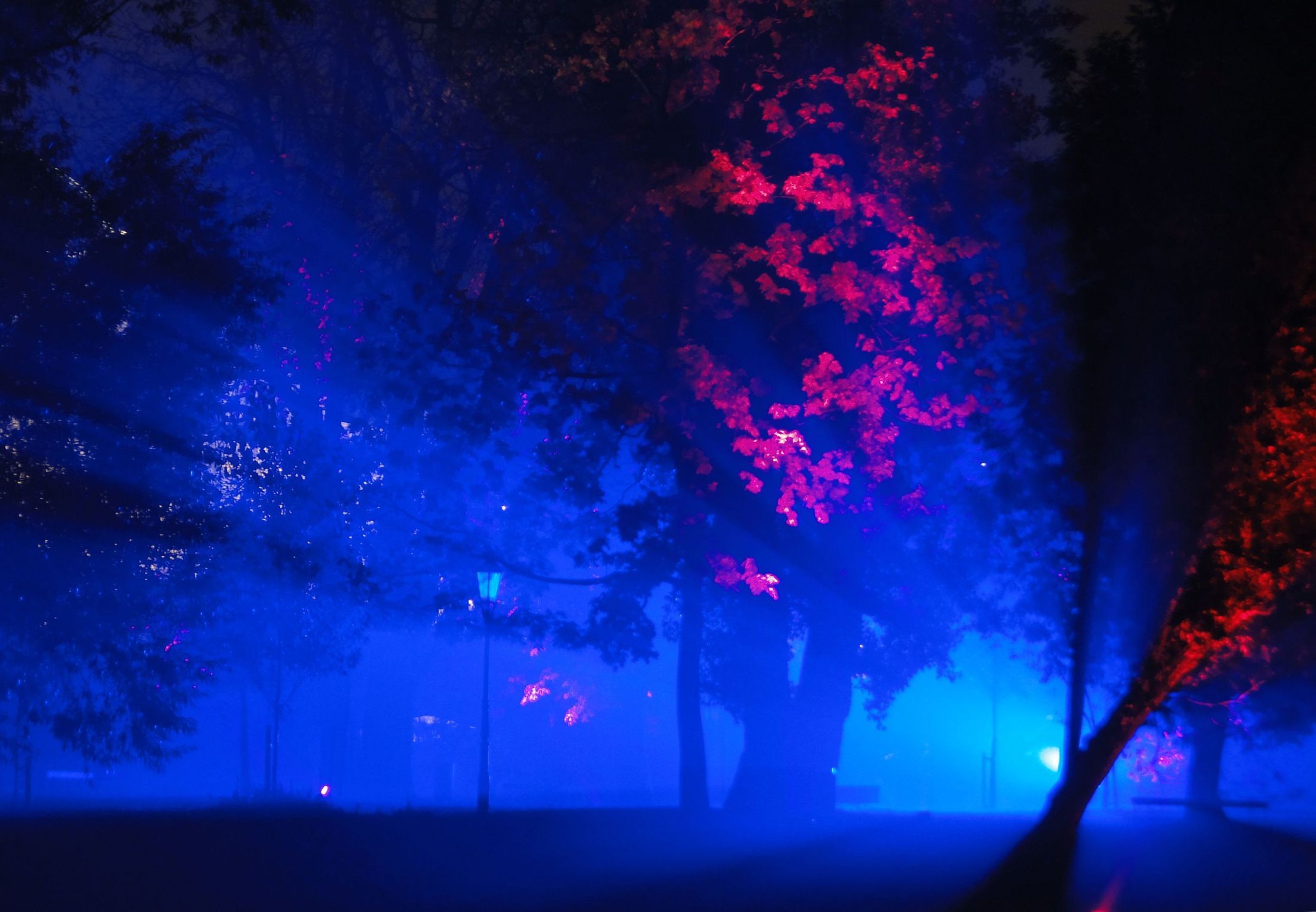 Festival Signal 2015 - 2 - GALERIE: Festival Signal 2015 (14/16)