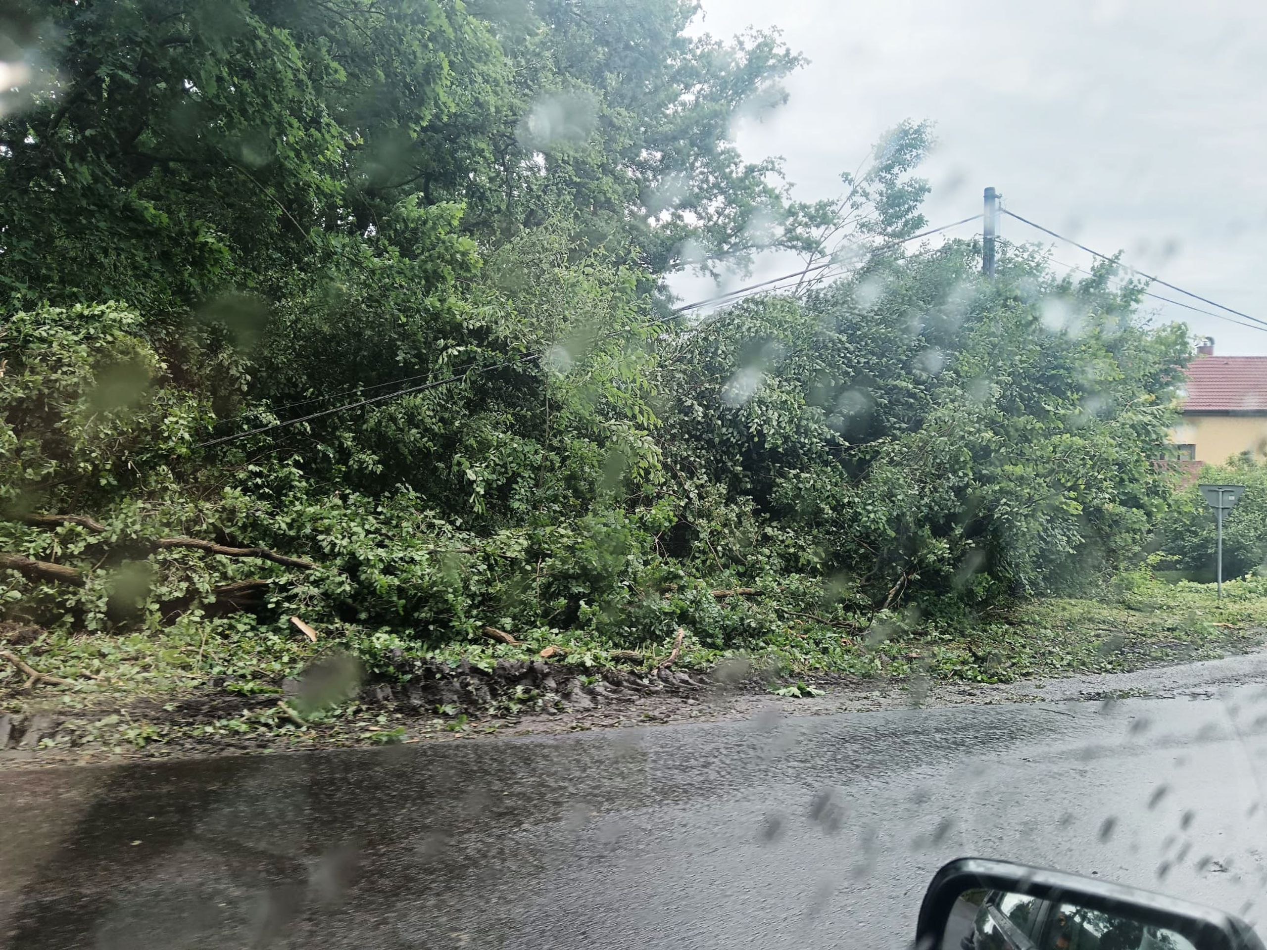 Sedlčany se vzpamatovávají z vichřice (6) - Sedlčany se vzpamatovávají z vichřice (23/38)