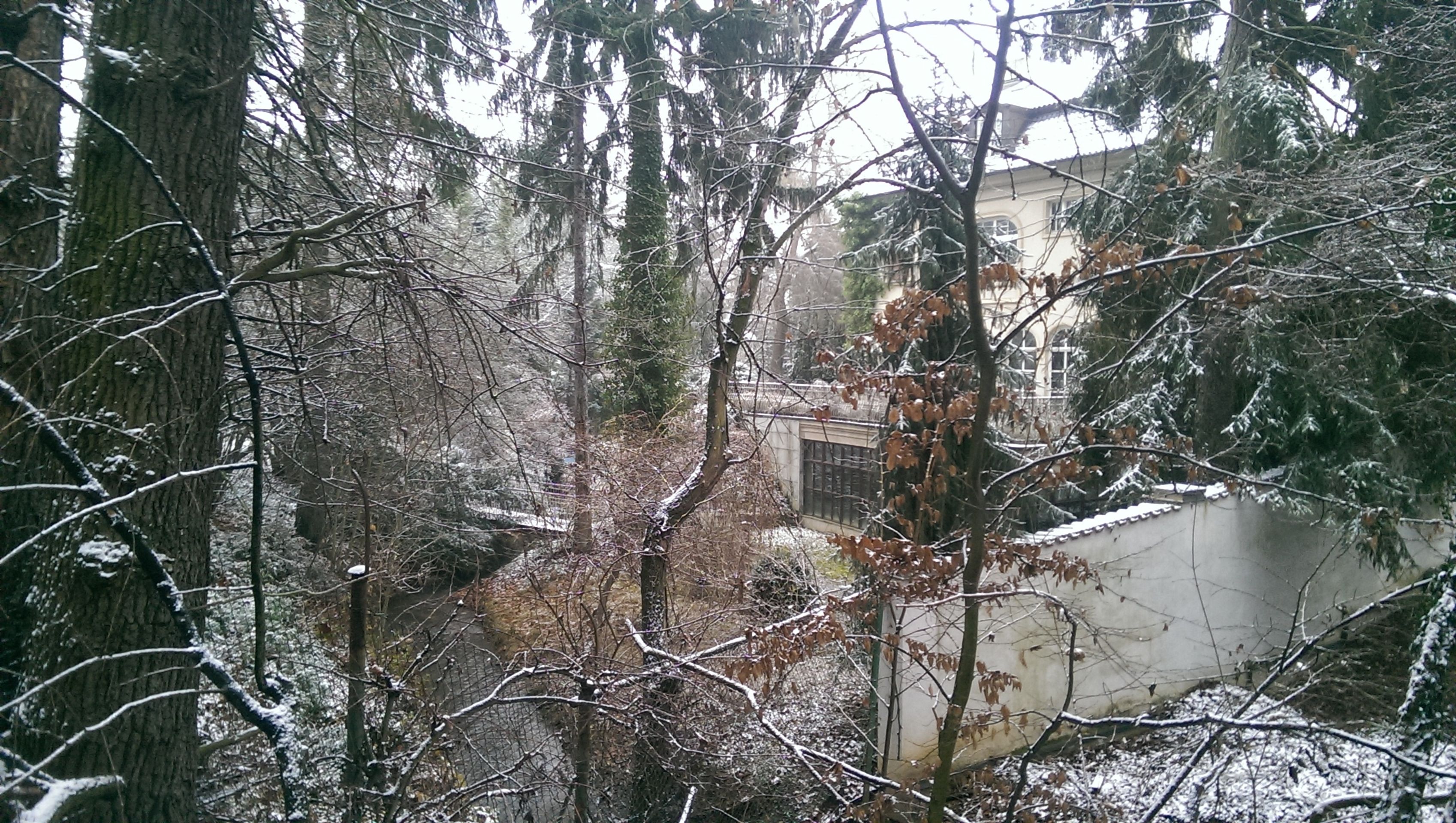 Druhá, tajná vila Radovana Krejčíře - 5 - FOTOGALERIE: Druhá vila Radovana Krejčíře (5/9)