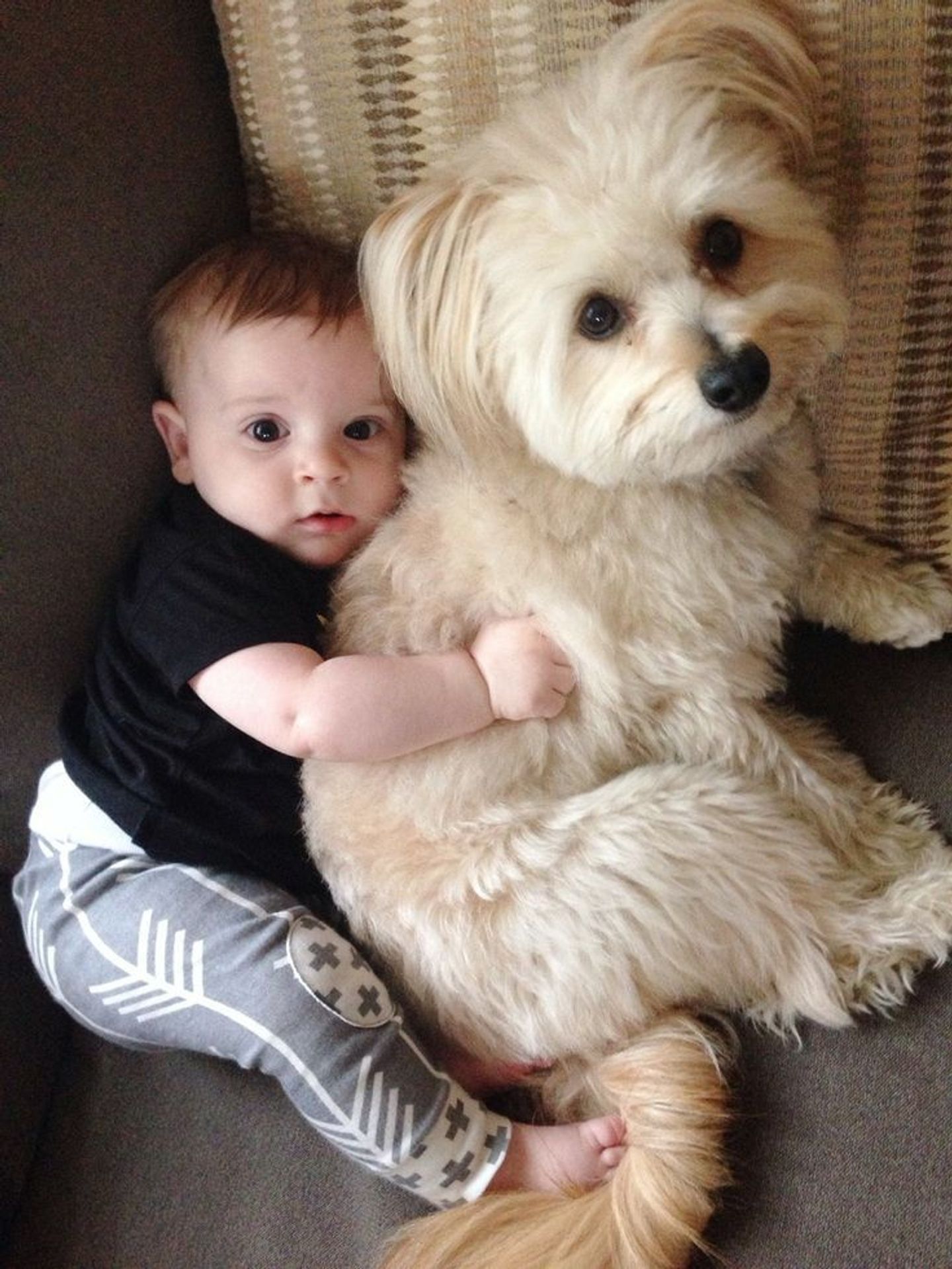 Psi a děti jsou nerozluční kamarádi - 5 - GALERIE: Přátelství mezi psem a dítětem (5/10)