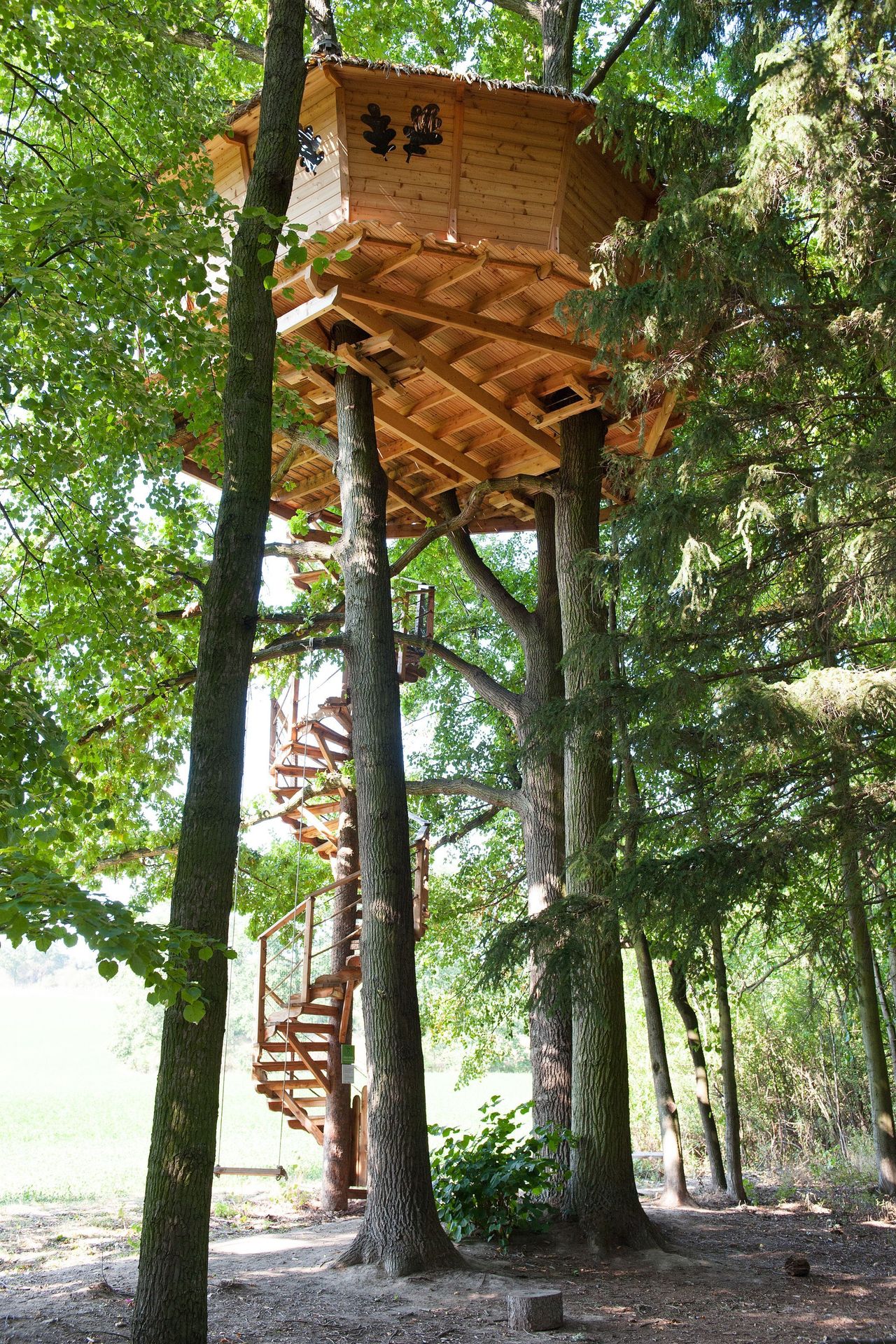 Tree house - 1 - GALERIE: Tree house (5/15)