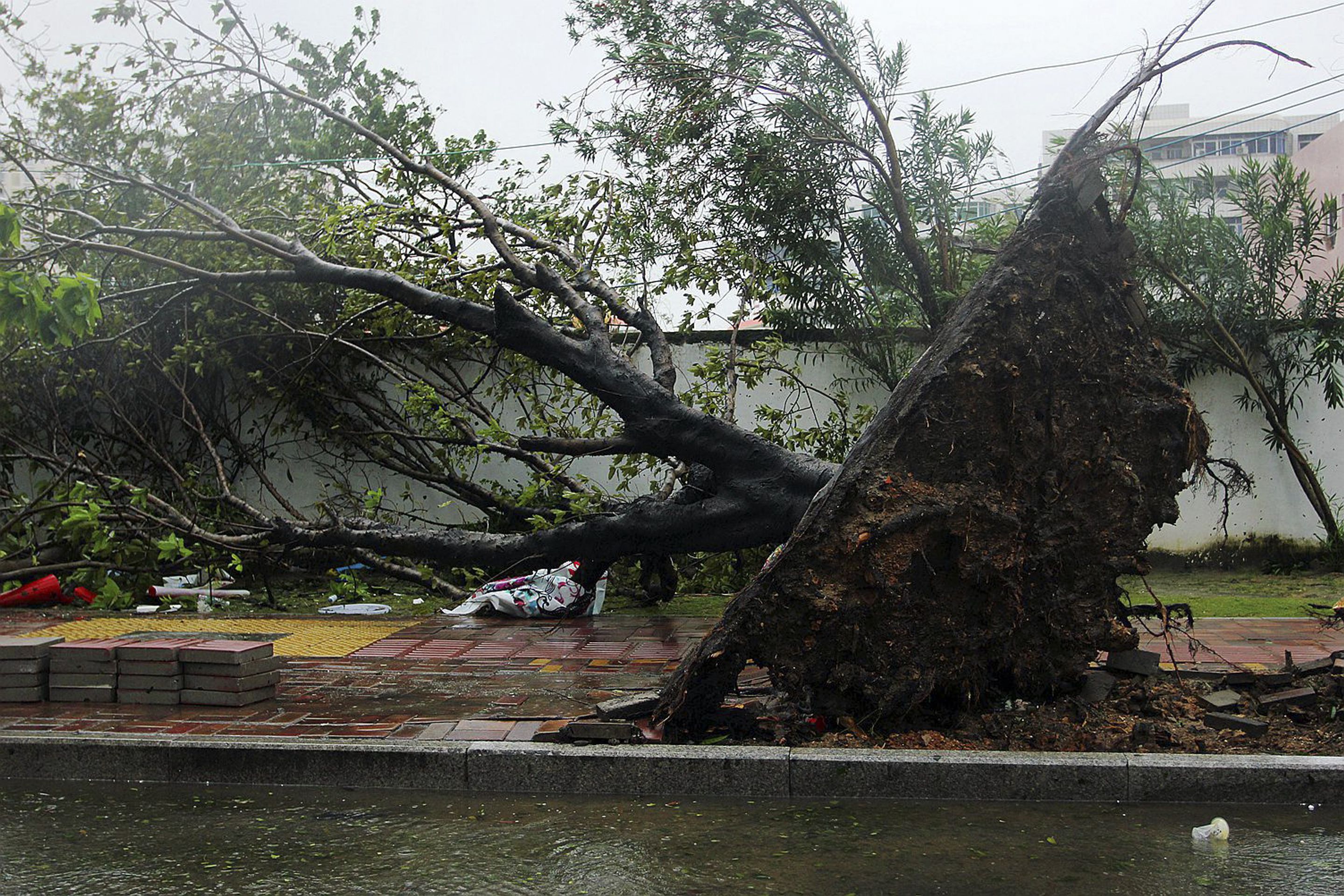 Tajfun Haiyan - 4 - GALERIE: Tajfun Haian zdevastoval Filipíny (4/10)
