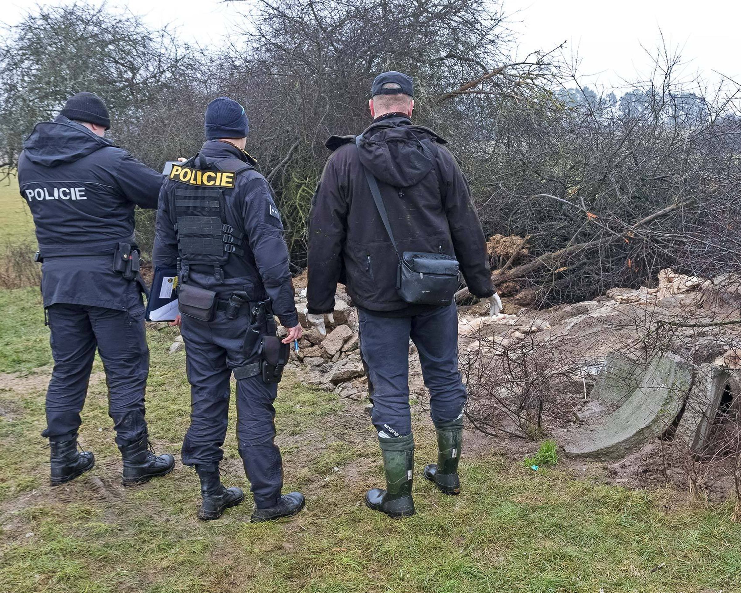Na Klatovsku našli otrávené čtyři orly mořské - 2 - GALERIE: Na Klatovsku našli uhynulé orly mořské (4/5)