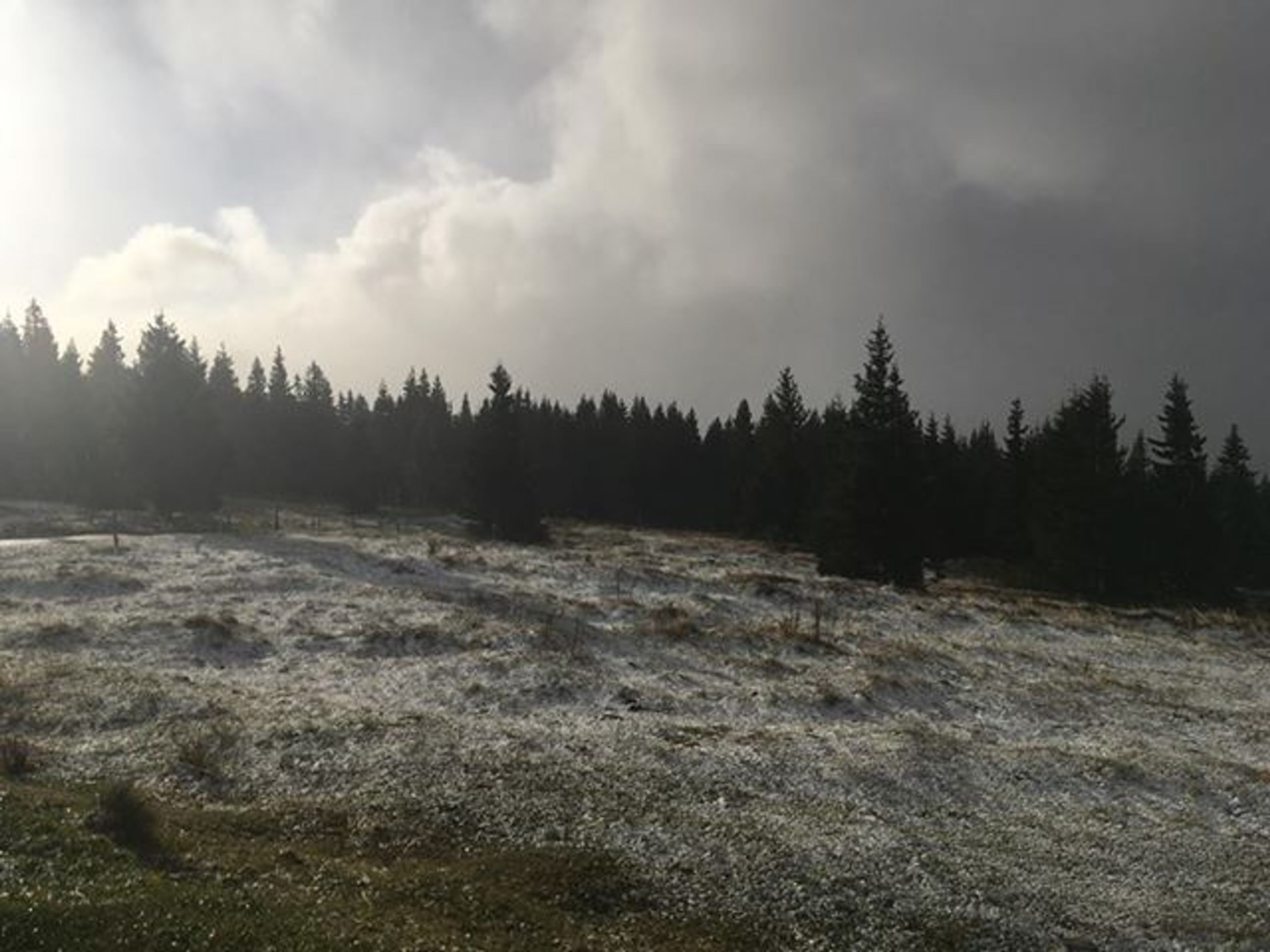 Sníh na Boudě Růžohorky - 2 - GALERIE: Bouře Fabienne přinesla do Česka sníh (5/6)