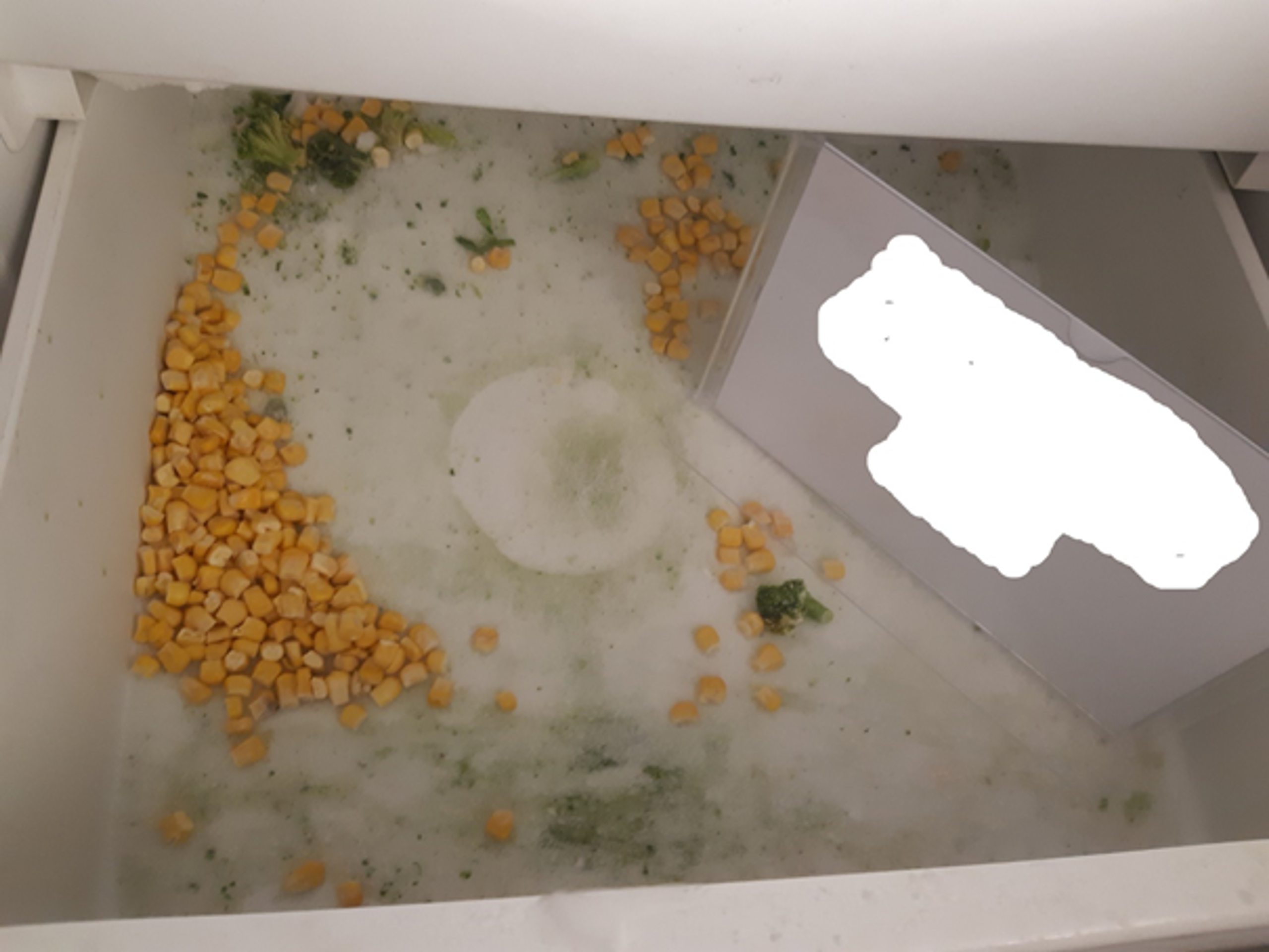 Nedostatky v provozní hygieně - Nedostatky v provozní hygieně (4/7)