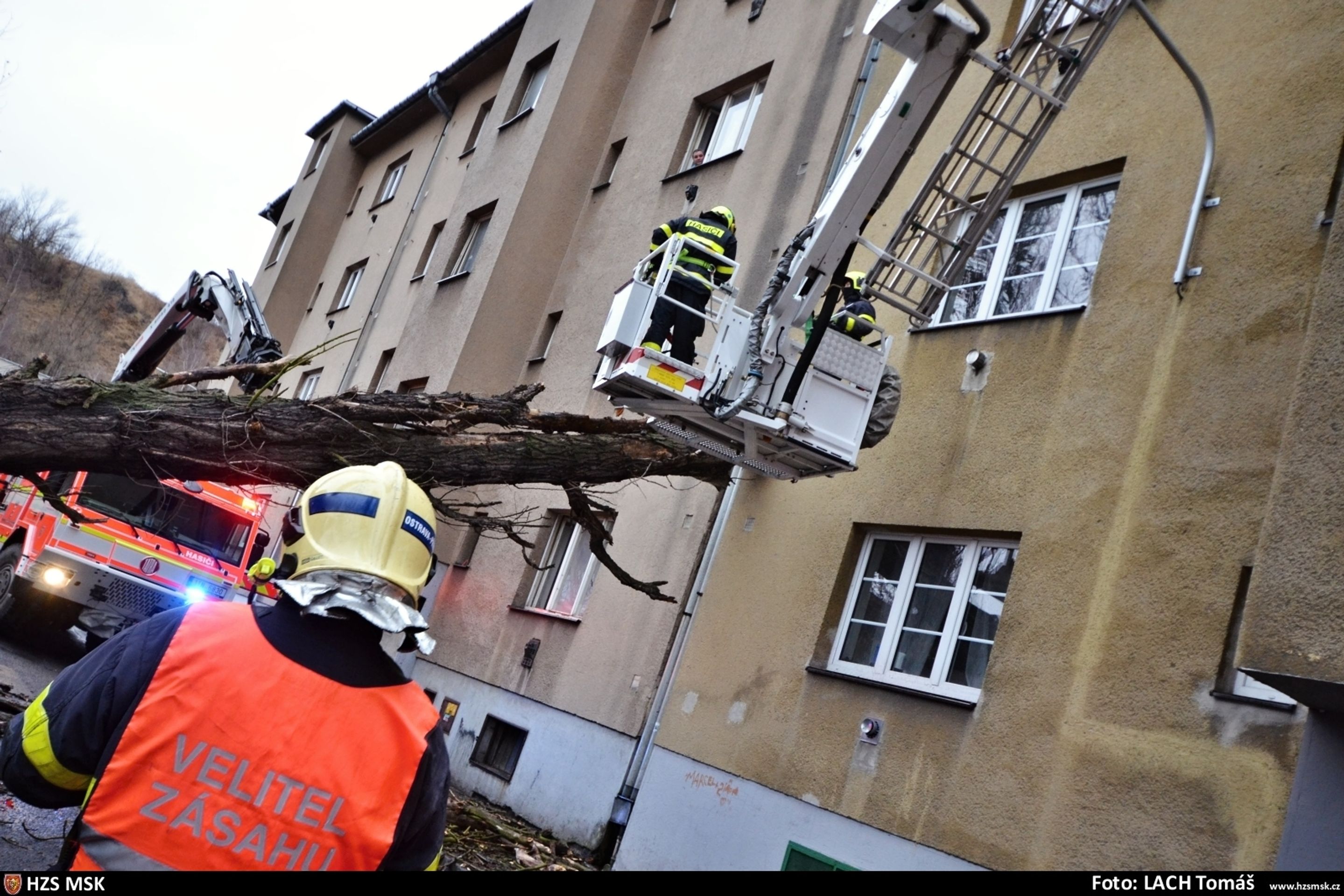 Spadlý strom v Ostravě (3) - Následky silného větru v ČR (2/5)
