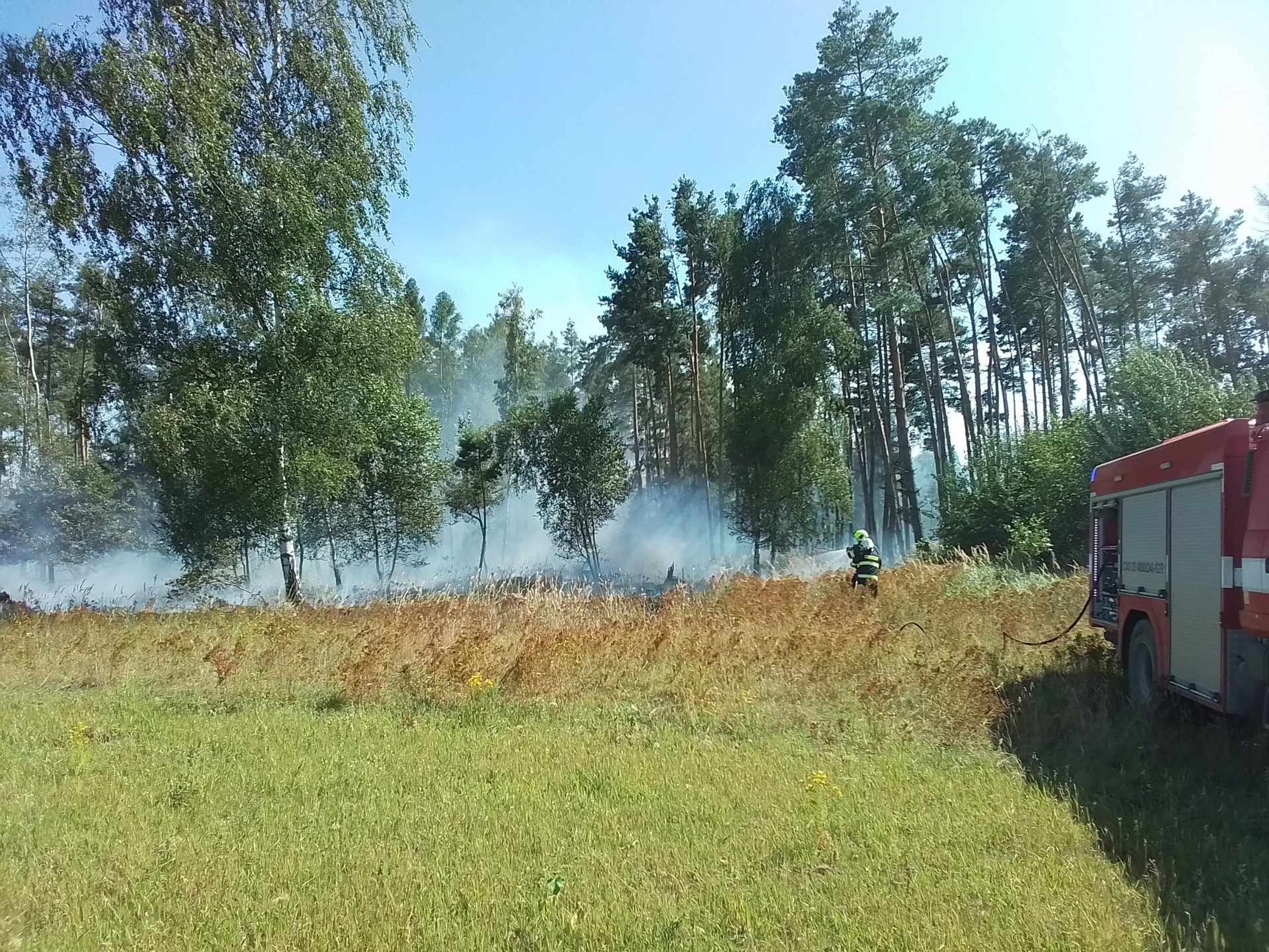 Požár lesního porostu u Brocna (1) - Požár lesa (3/5)