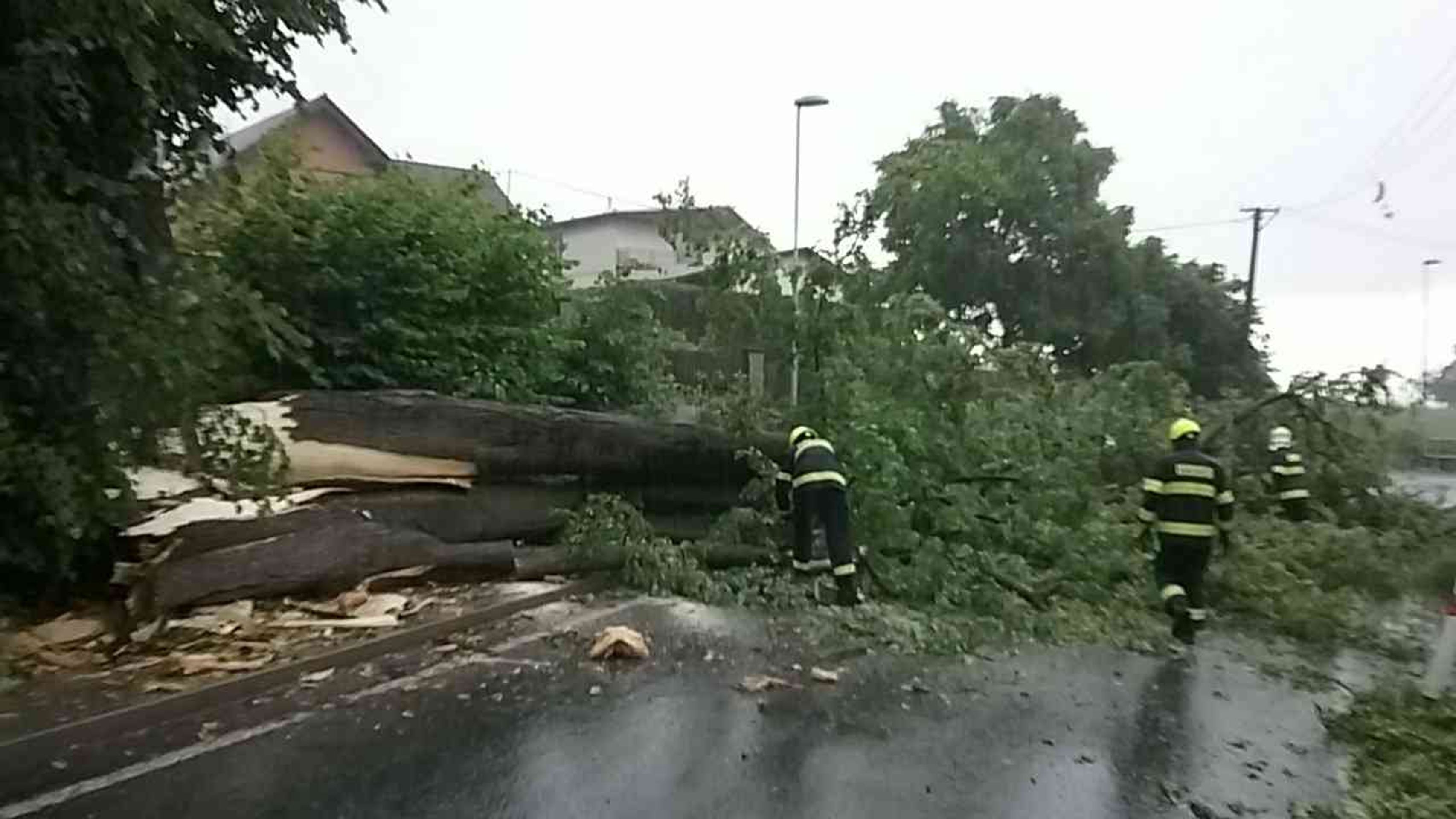 Následky bouřky na Vysočině - Následky bouřky a silného větru (4/21)