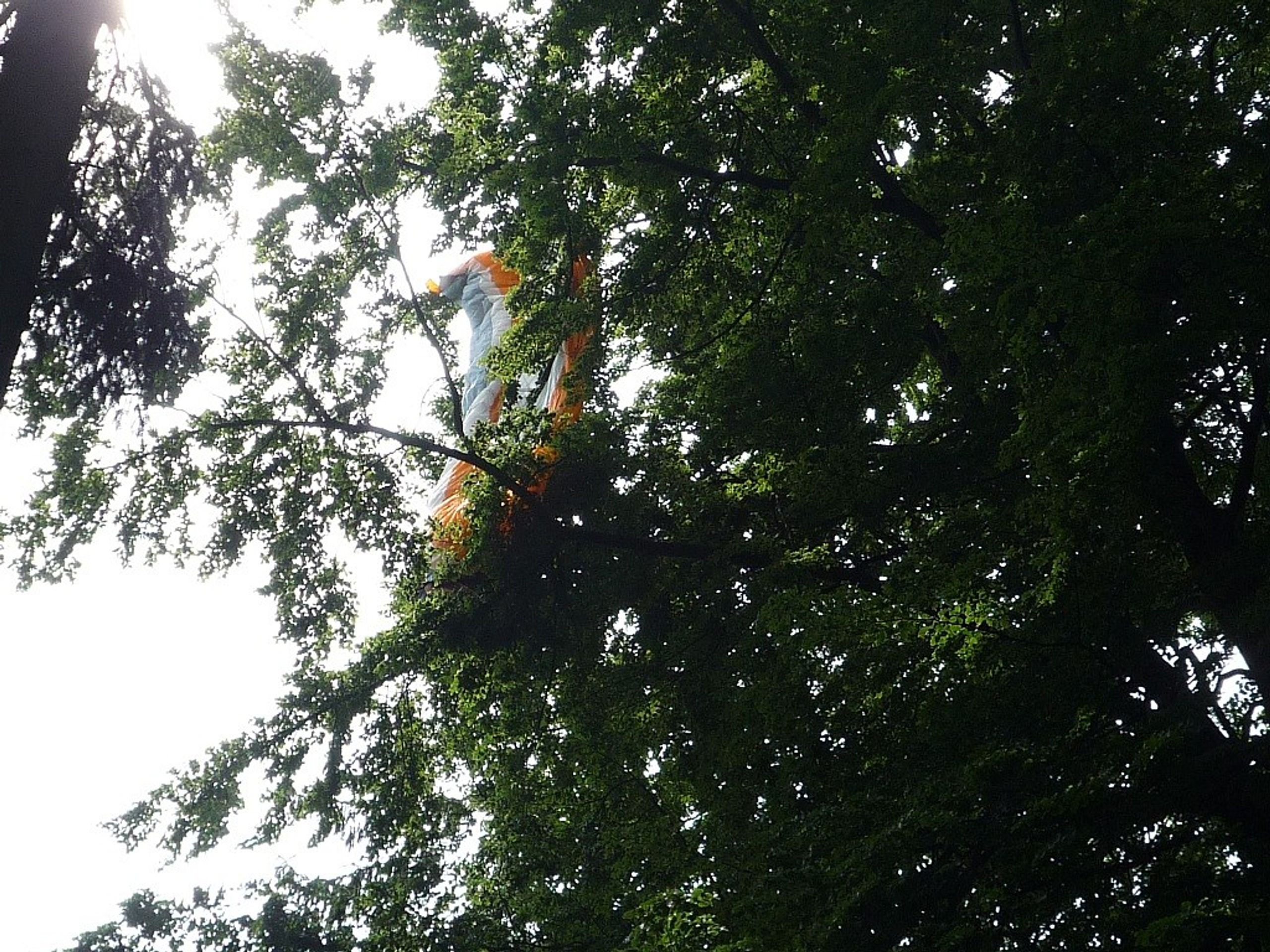 Zříceného paraglidistu zachránili hasiči ze stromu vrtulníkem - GALERIE: Zříceného paraglidistu zachránili hasiči ze stromu vrtulníkem (2/3)