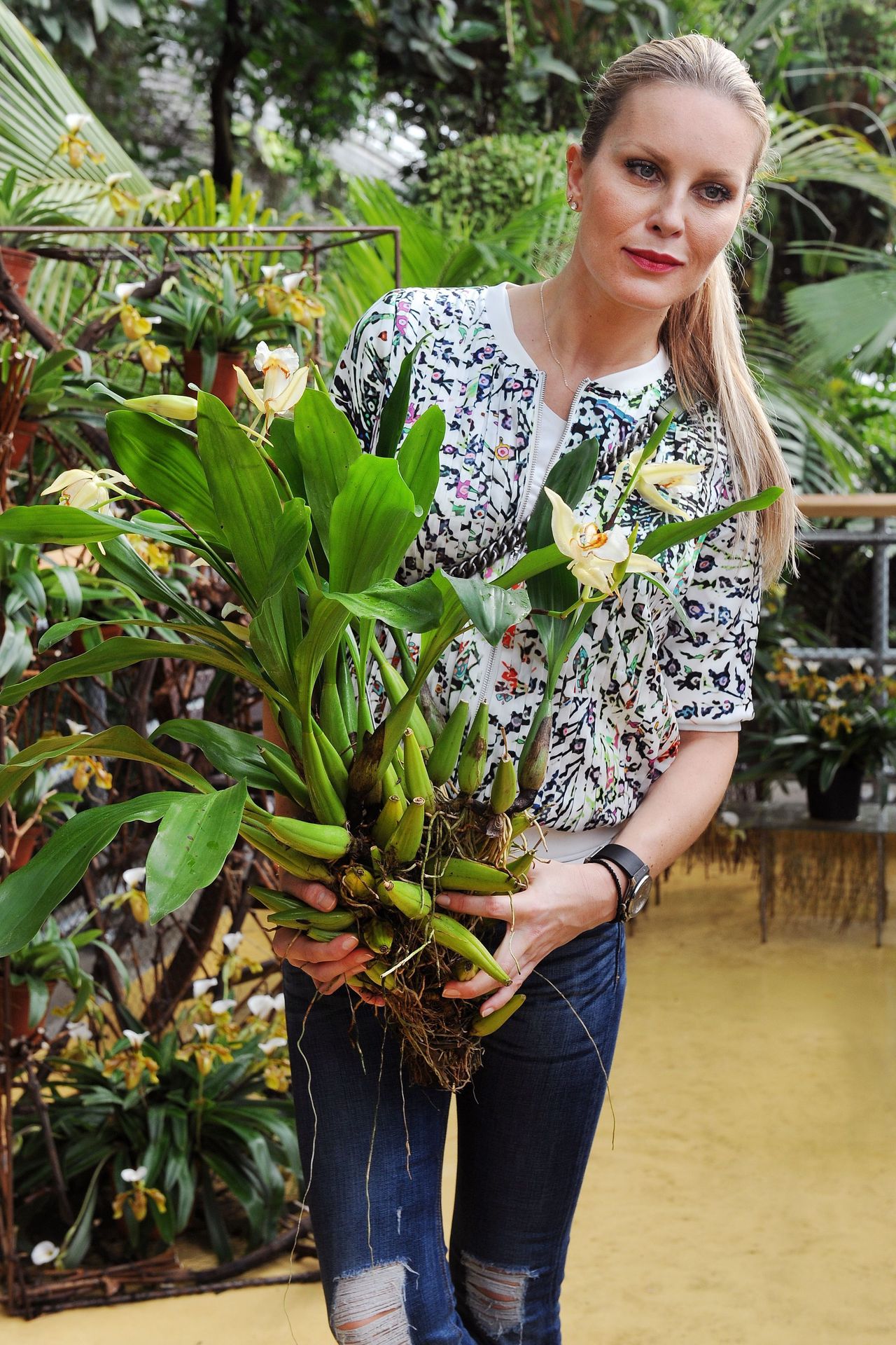 Výstava orchidejí - 15 - GALERIE: Orchideje v pražské botanické zahradě (29/29)