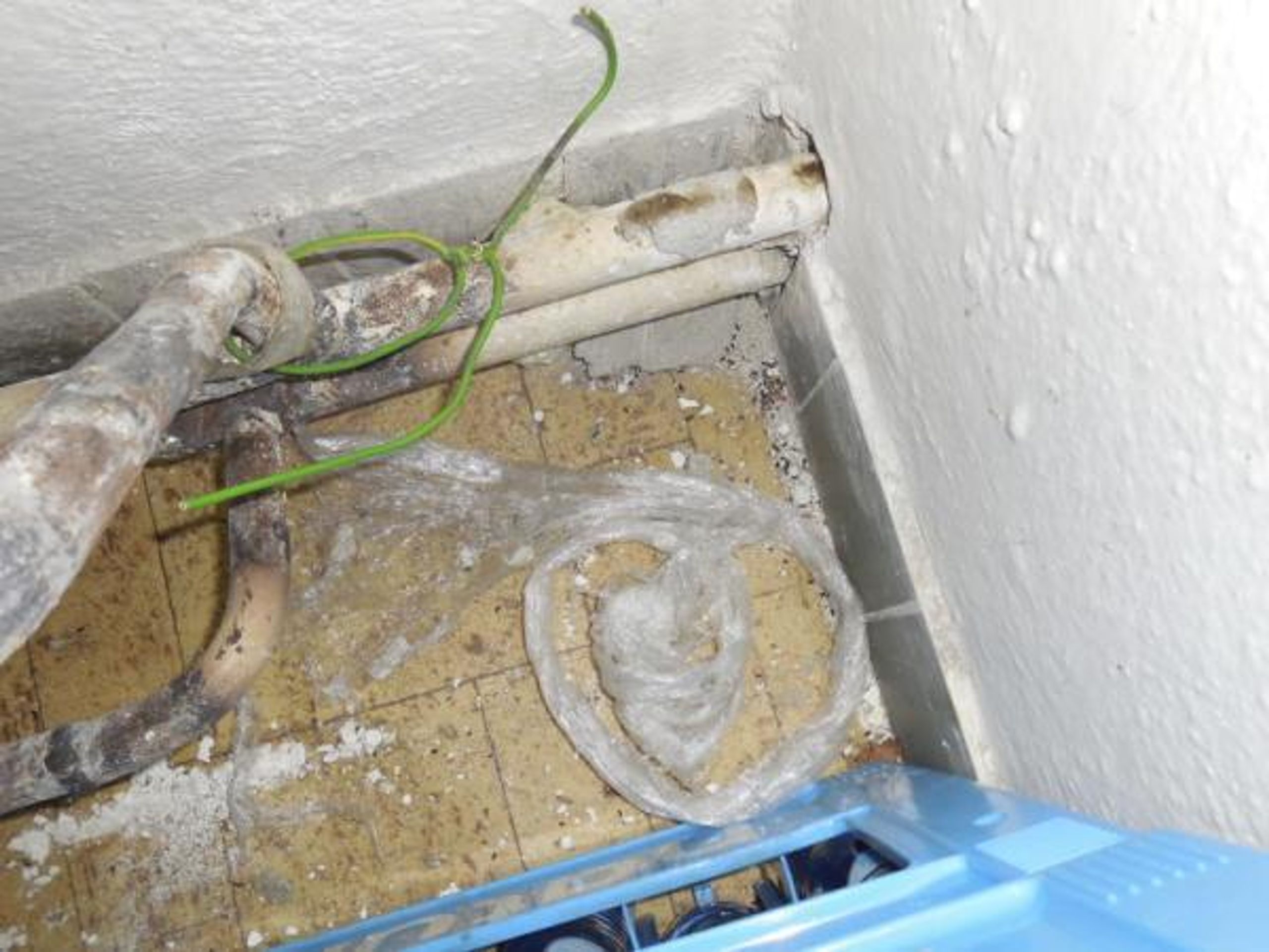 SZPI uzavřela další restauraci a hernu - 2 - FOTOGALERIE: Inspekce uzavřela další nechutné provozovny (10/12)