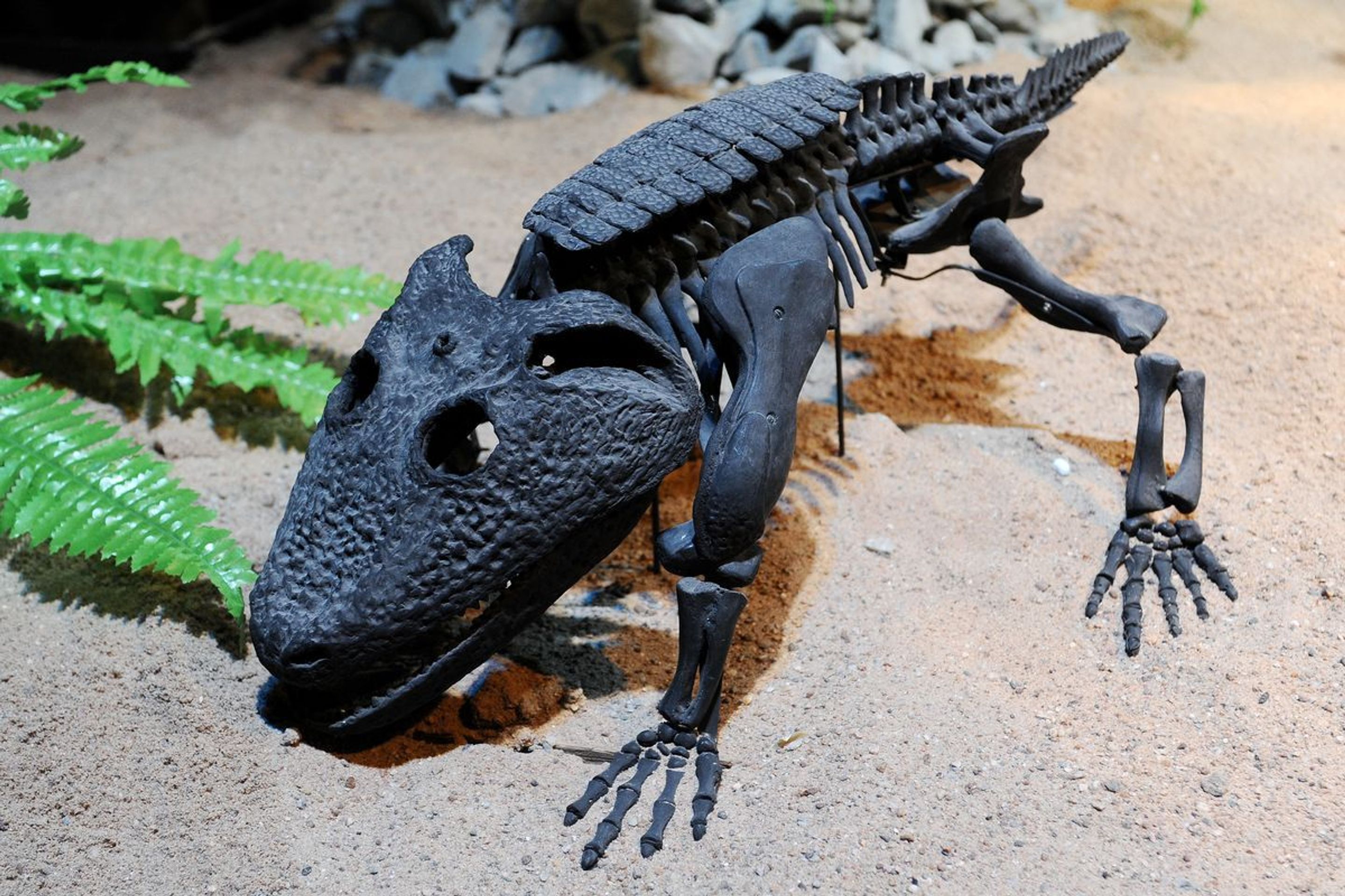 Výstava Dinosaurium - 12 - GALERIE: Výstava Dinosaurium (12/23)