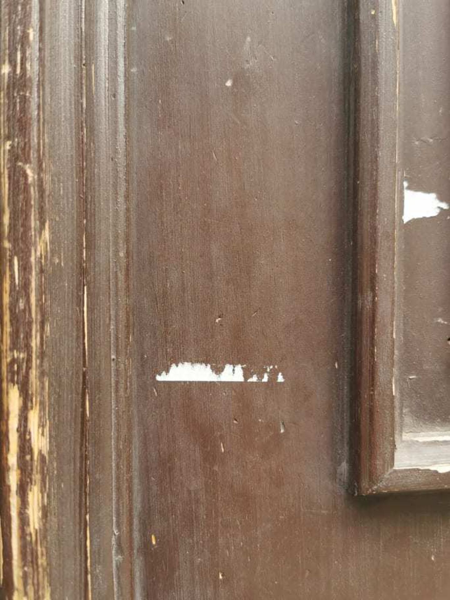 Letáky ke Sčítání lidu na dveřích - 6 - GALERIE: Česká pošta polepila dveře letáky (6/6)