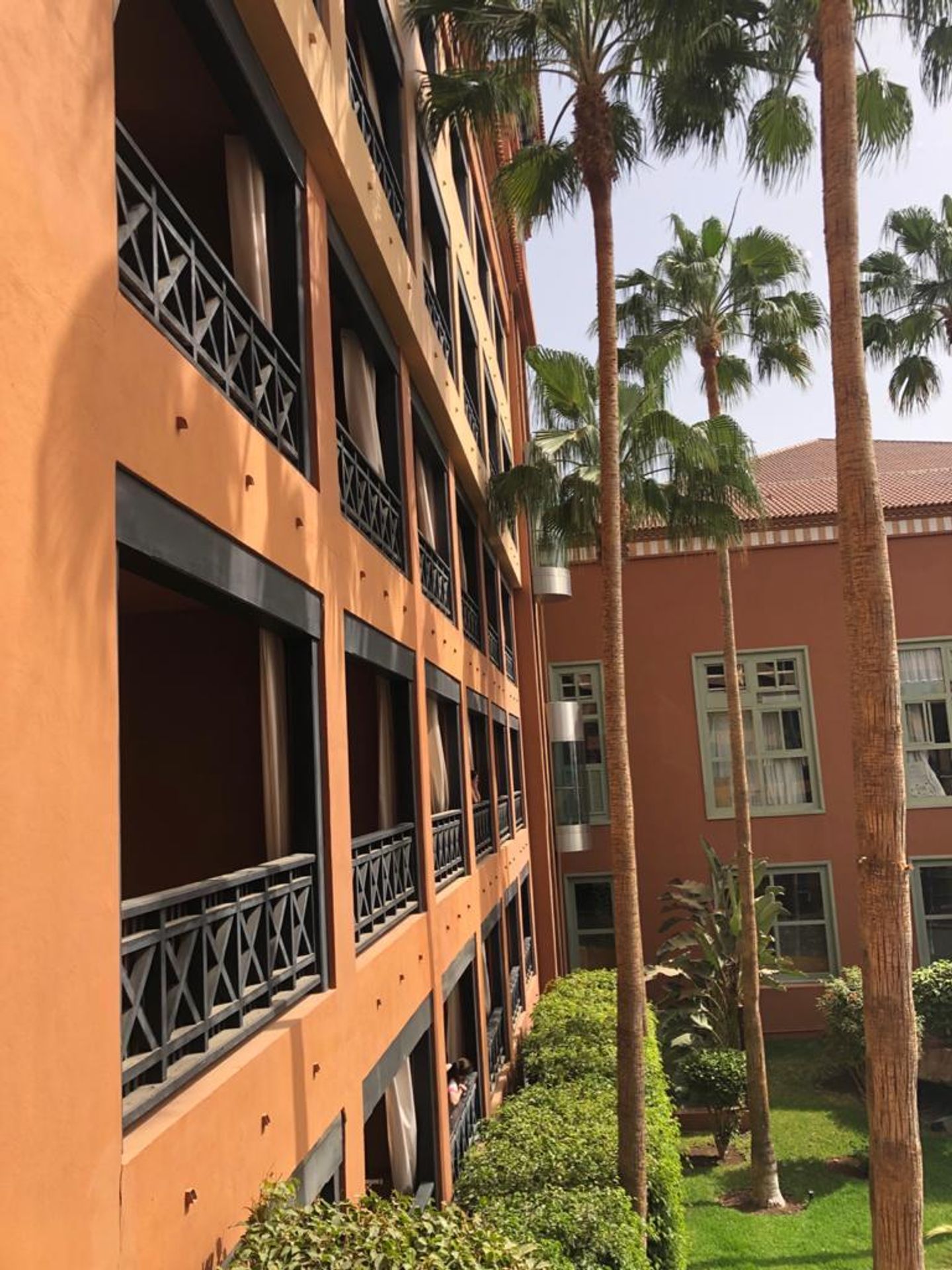 Fotografie od českých turistů na Tenerife - 1 - GALERIE: Fotografie z Tenerife (1/6)