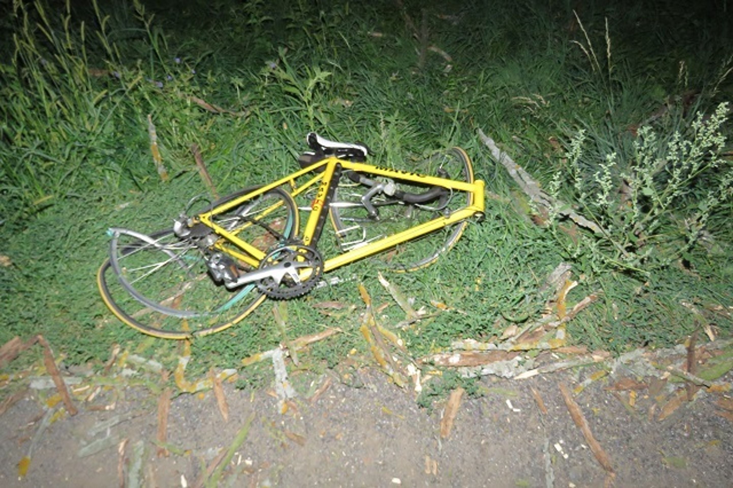 Na cyklisty spadl strom - 2 - GALERIE: Na cyklisty spadl strom (2/8)
