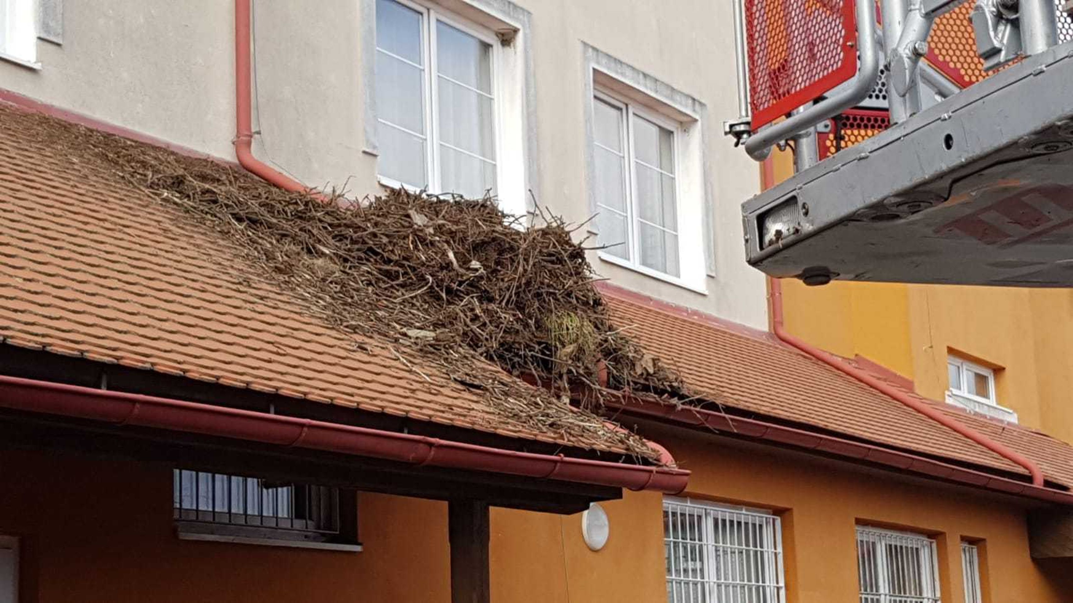 Silný vítr utrhl čapí hnízdo s železnou konstrukcí a komínem na střeše budovy v Dřevohosticích. - 2 - GALERIE: V Česku udeřil silný vítr (21/26)