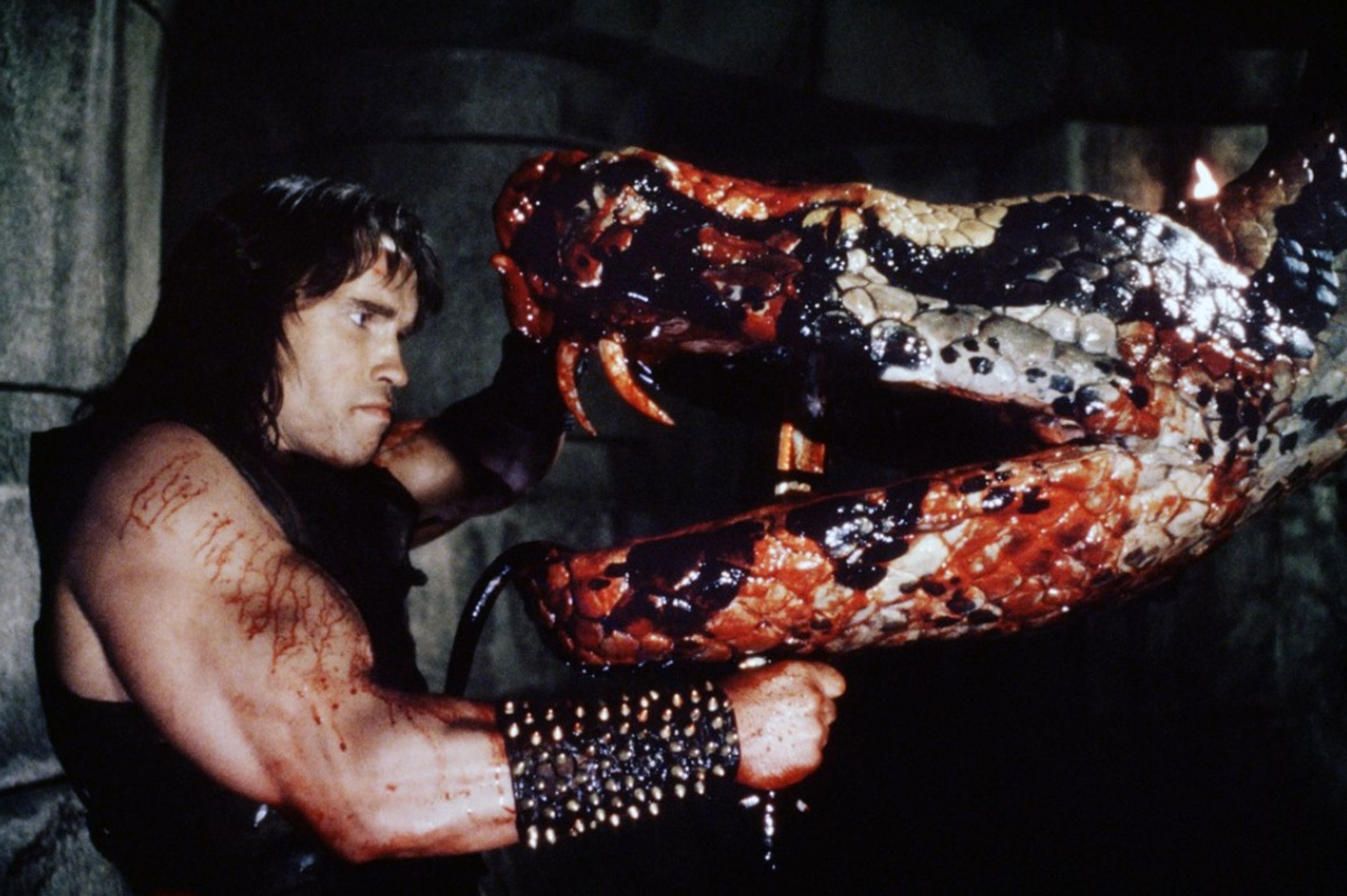 Arnold Schwarzenegger ve filmu Barbar Conan, 1982 (3) - Arnold Schwarzenegger (13/14)