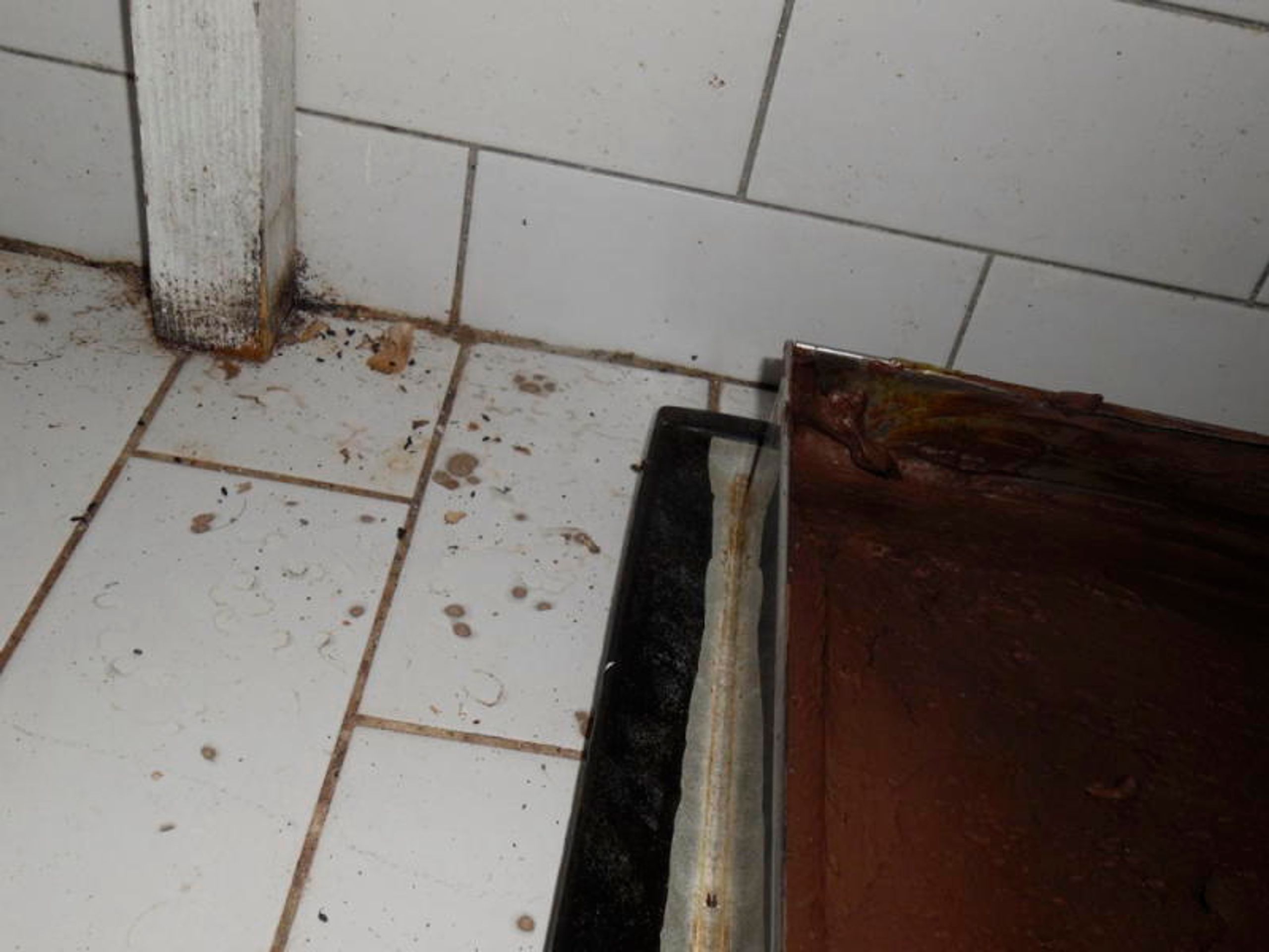Hygiena uzavřela další provozovny - Vanesa, Prachatice - 1 - GALERIE: Hygiena uzavřela další provozovny (20/28)