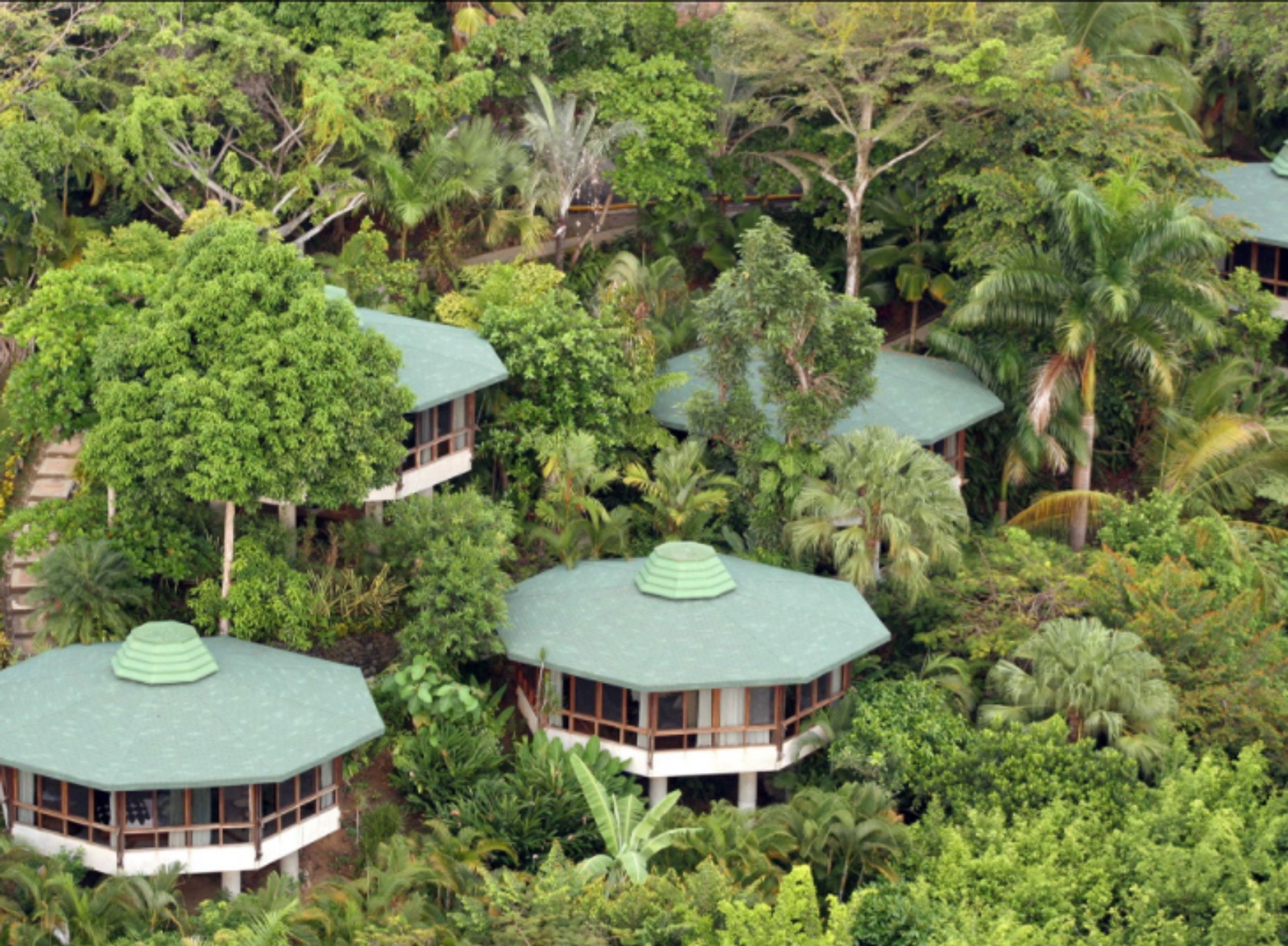 Nejlepší hotely podle TripAdvisor - Tulemar Bungalows & Villas (Costa Rica) - GALERIE: Nejlepší hotely podle TripAdvisor (5/40)