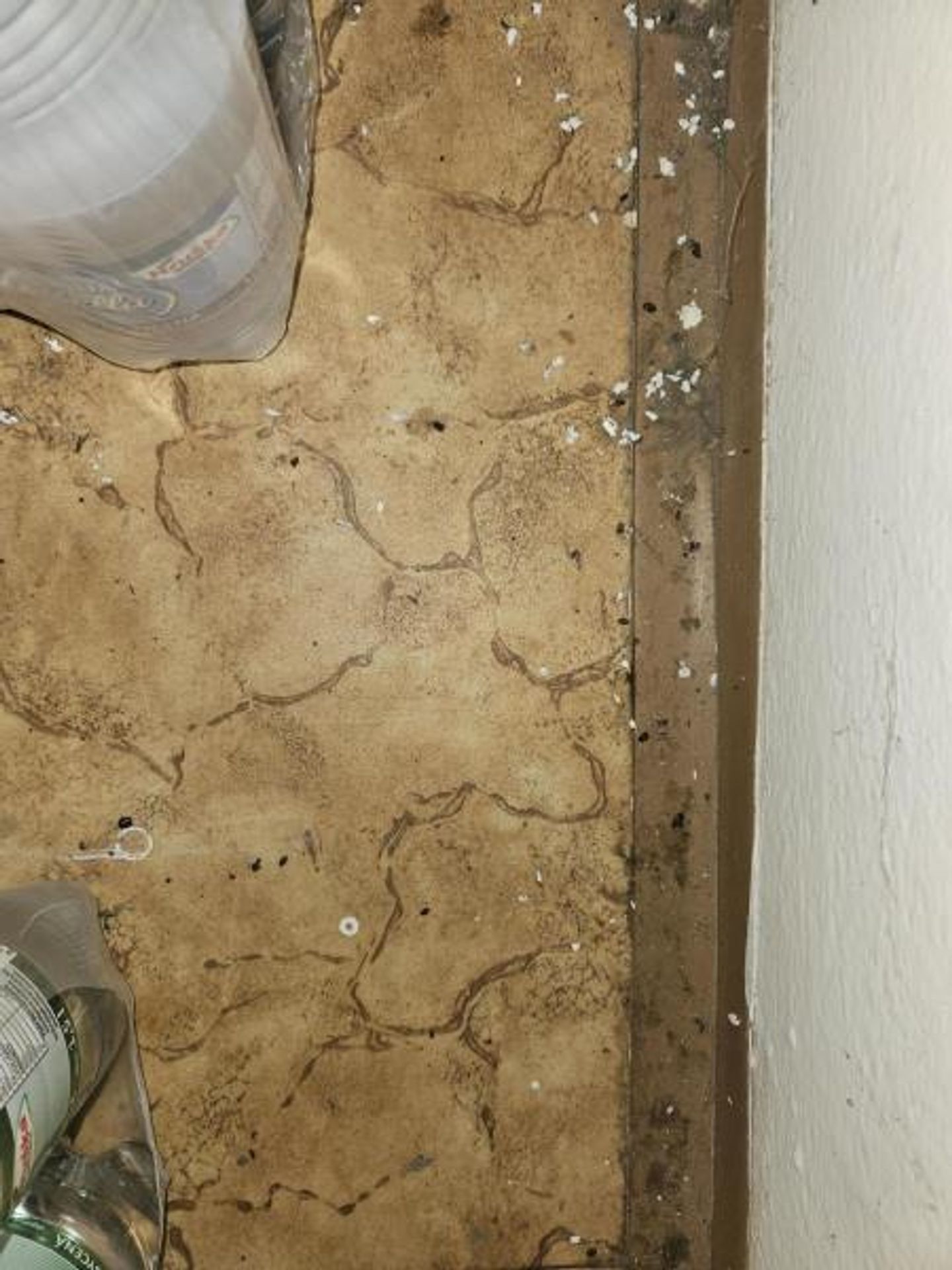 Uzavřený obchod Hruška, Dobřenice (2) - Uzavřené obchody za poslední měsíce (12/54)